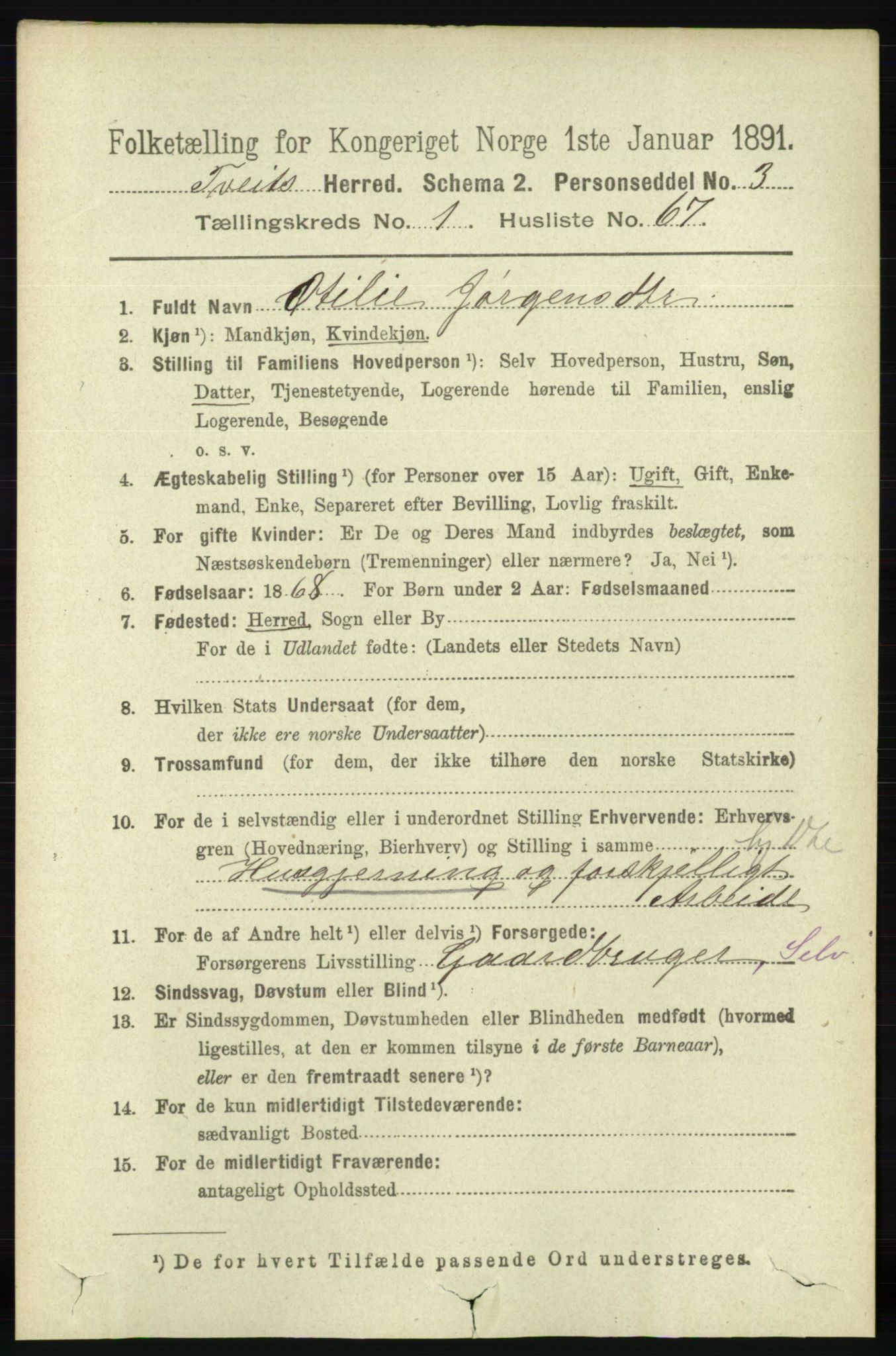 RA, 1891 census for 1013 Tveit, 1891, p. 404