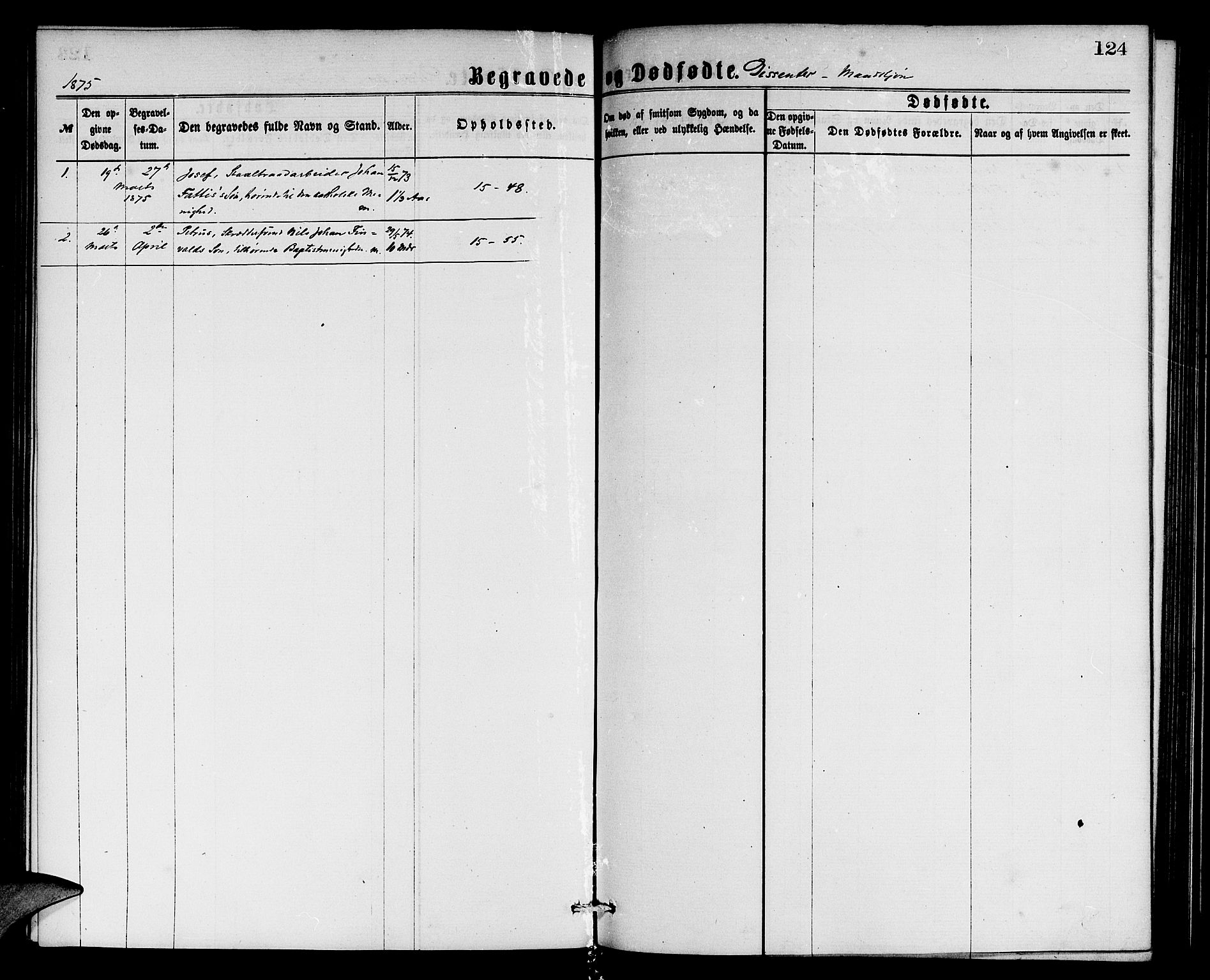Domkirken sokneprestembete, SAB/A-74801/H/Hab/L0040: Parish register (copy) no. E 4, 1868-1877, p. 124