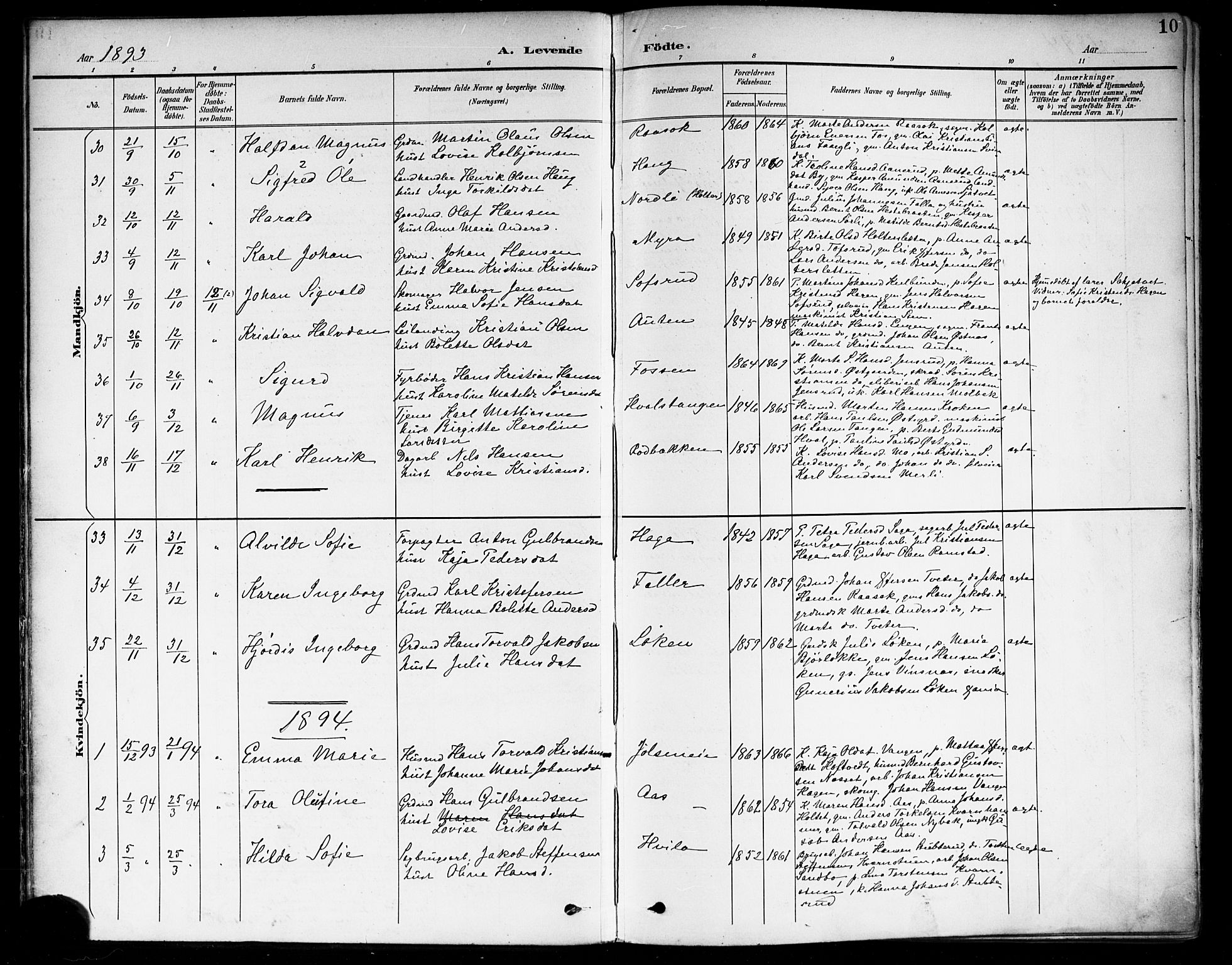 Fet prestekontor Kirkebøker, SAO/A-10370a/F/Fa/L0015: Parish register (official) no. I 15, 1892-1904, p. 10