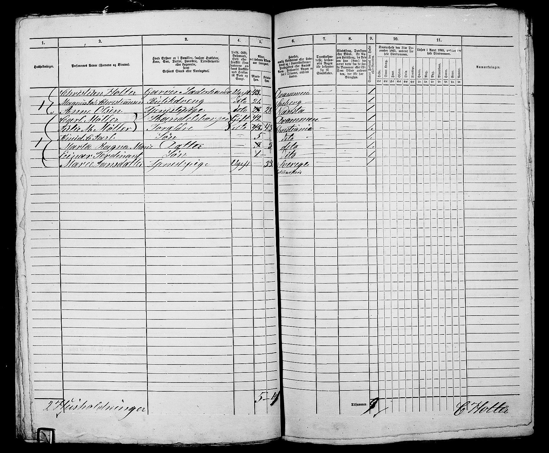 RA, 1865 census for Kristiania, 1865, p. 1442