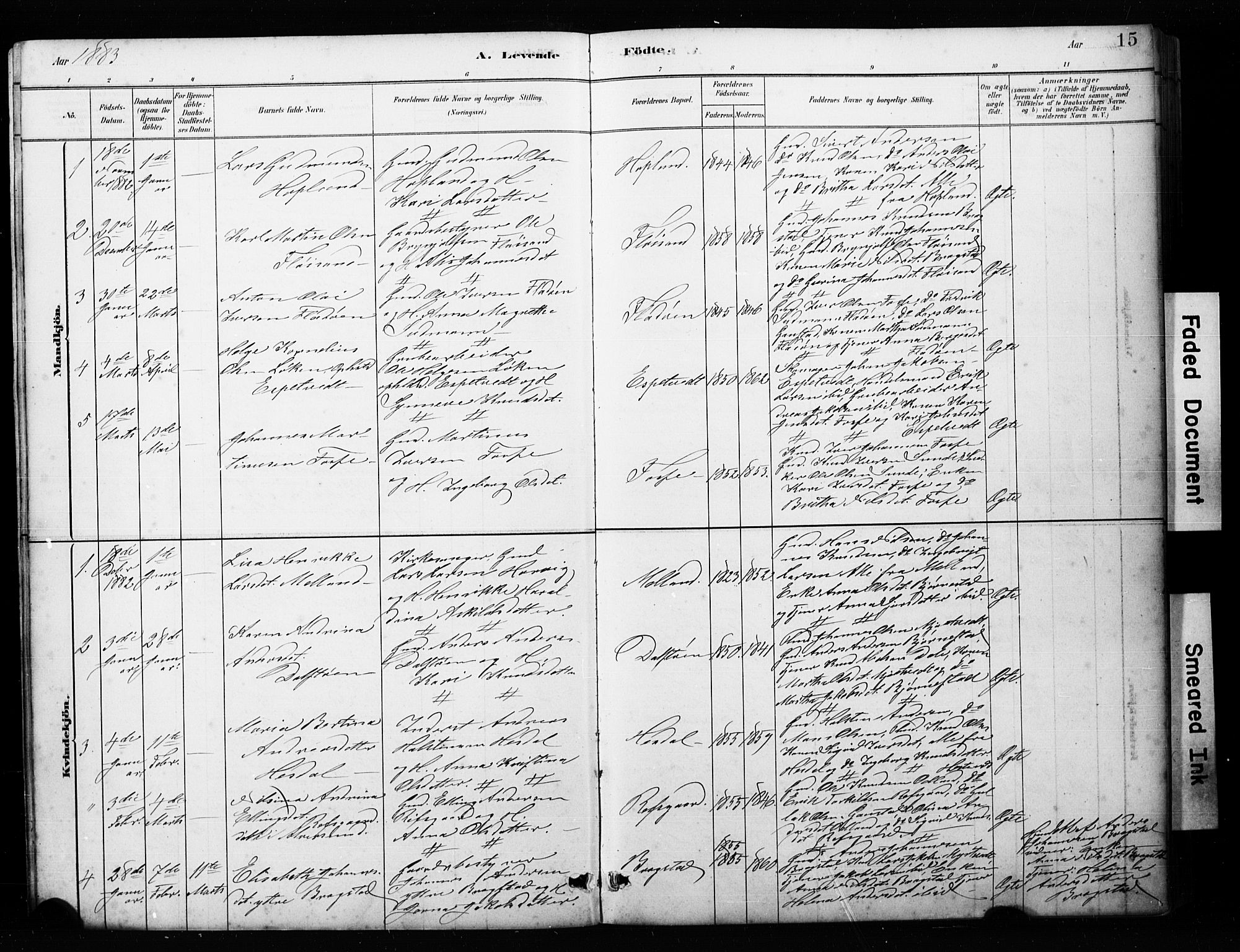 Alversund Sokneprestembete, SAB/A-73901/H/Ha/Hab: Parish register (copy) no. C 3, 1881-1894, p. 15