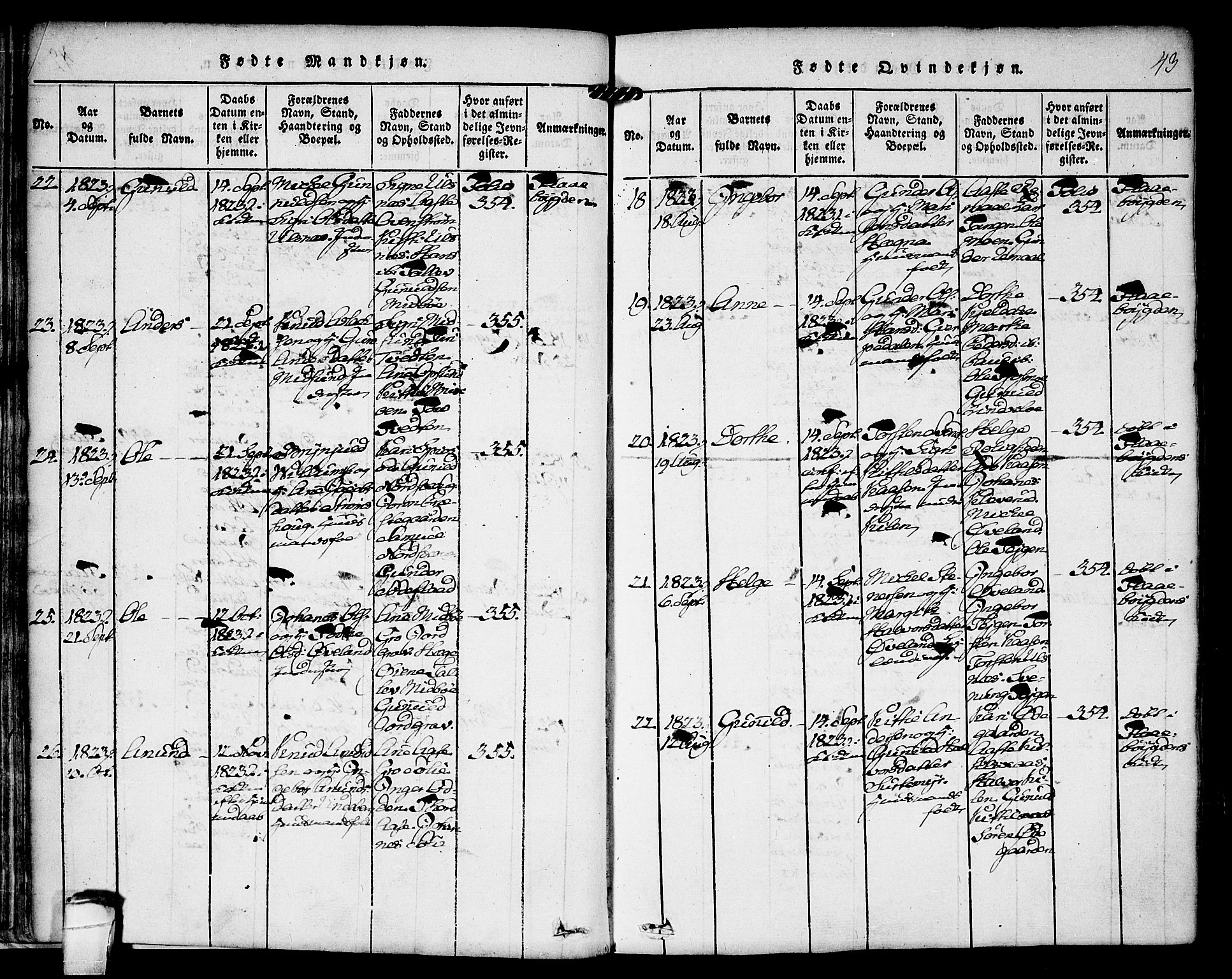 Kviteseid kirkebøker, SAKO/A-276/F/Fa/L0005: Parish register (official) no. I 5, 1815-1836, p. 43