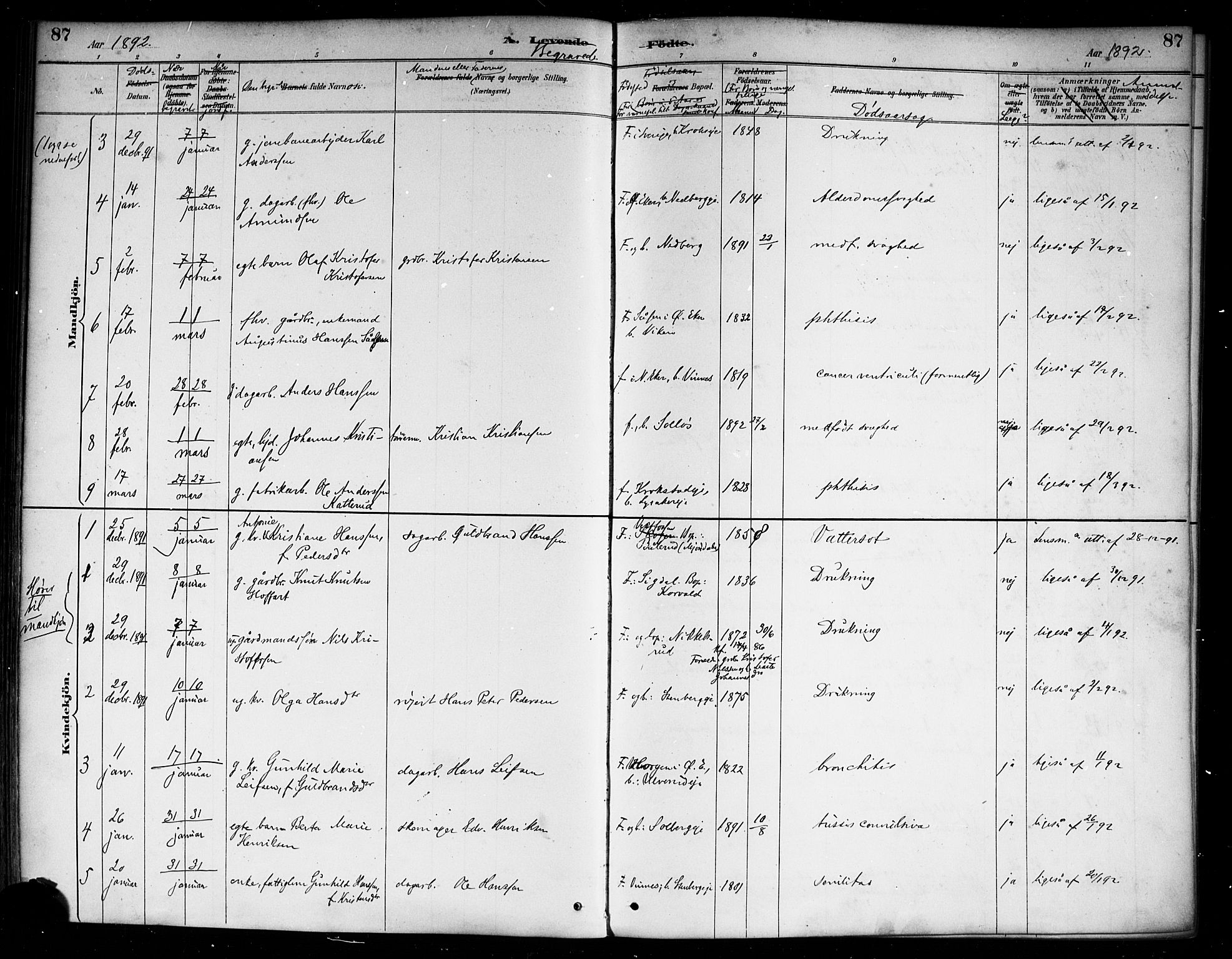 Nedre Eiker kirkebøker, AV/SAKO-A-612/F/Fa/L0003: Parish register (official) no. 3, 1885-1892, p. 87