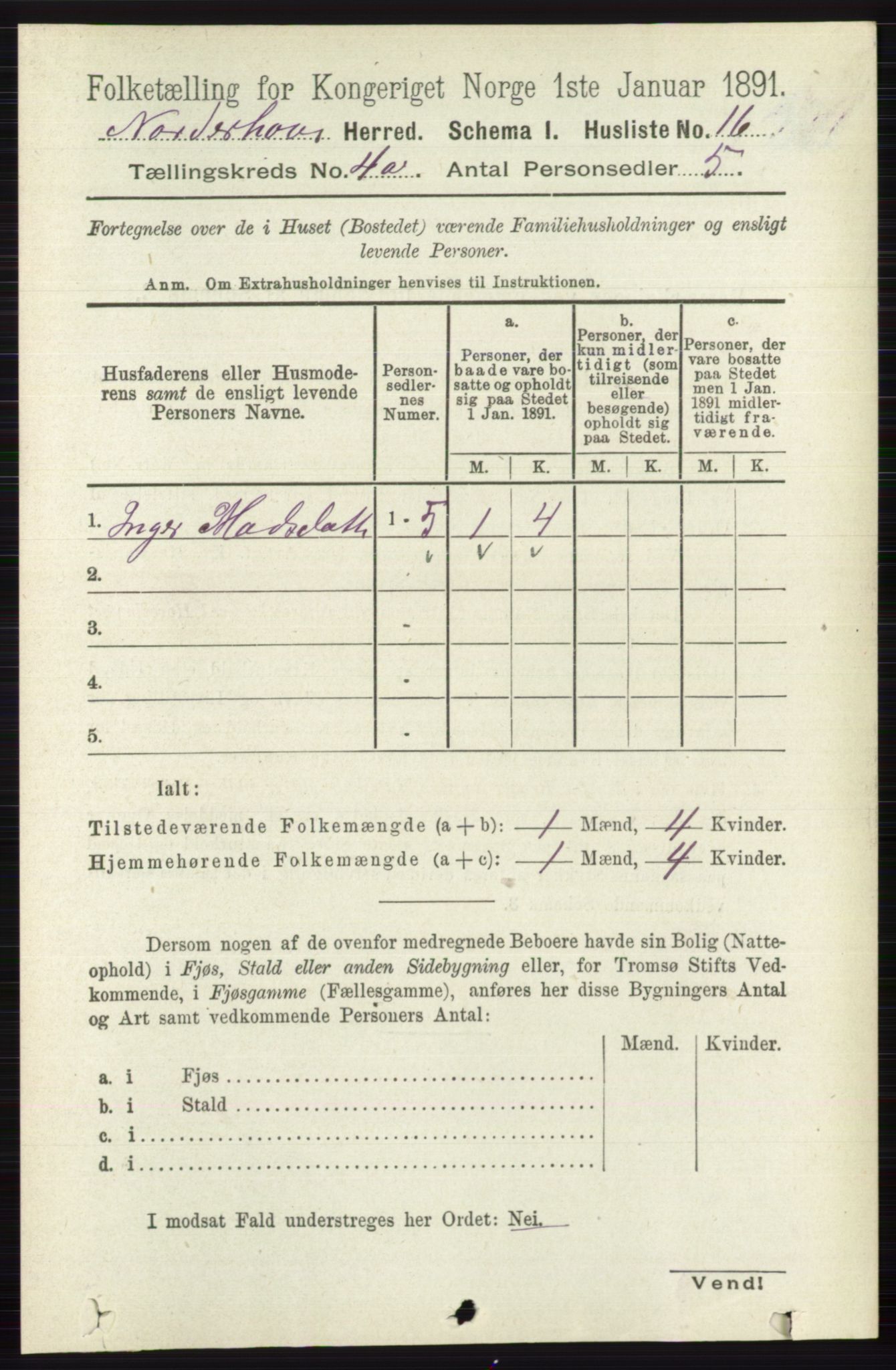 RA, 1891 census for 0613 Norderhov, 1891, p. 1705