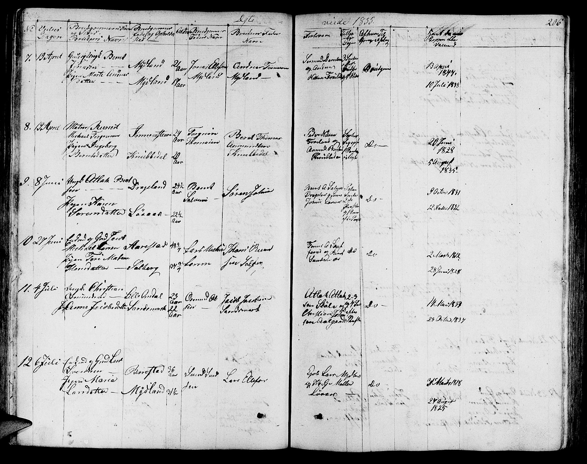 Sokndal sokneprestkontor, AV/SAST-A-101808: Parish register (copy) no. B 2, 1849-1865, p. 206