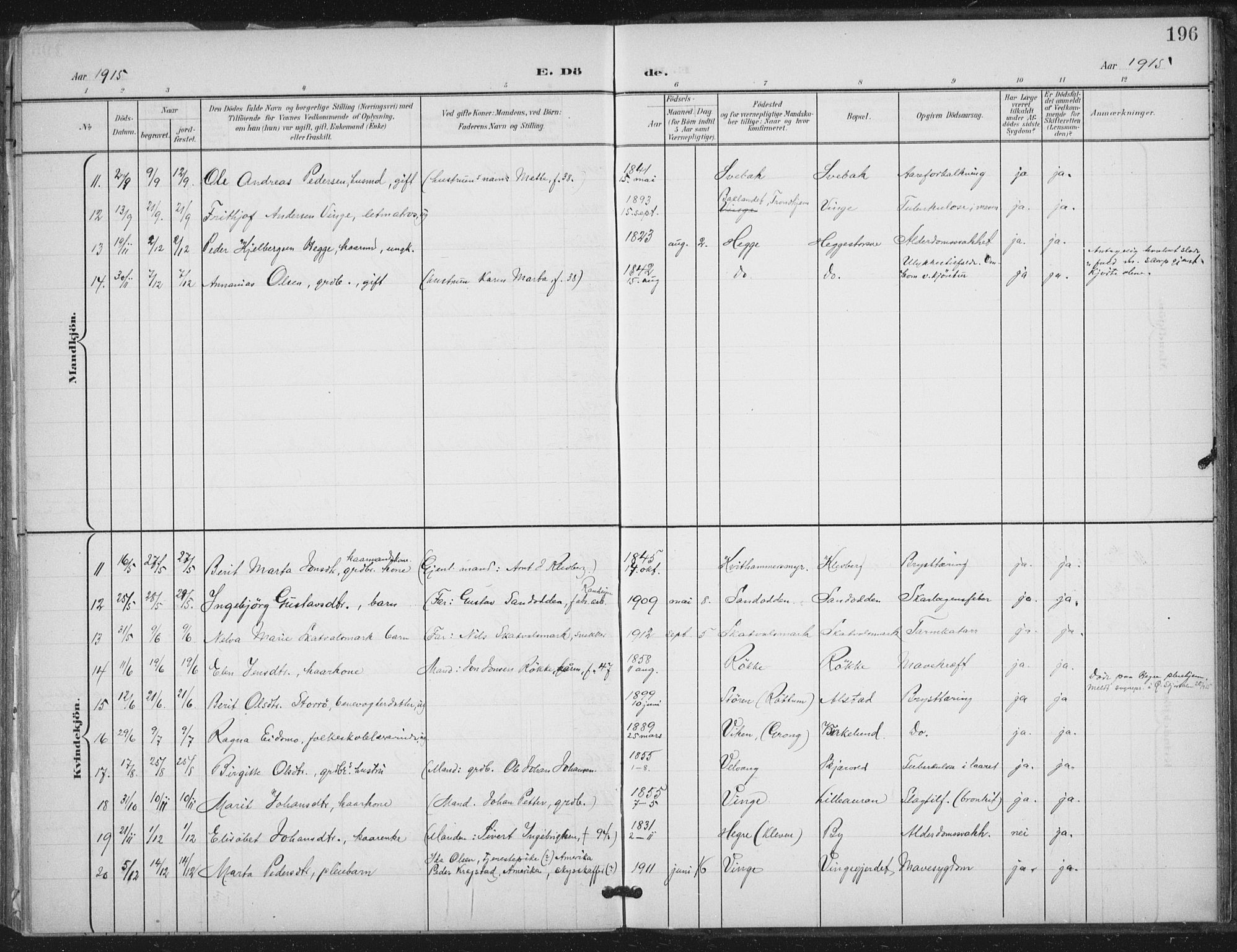 Ministerialprotokoller, klokkerbøker og fødselsregistre - Nord-Trøndelag, SAT/A-1458/712/L0101: Parish register (official) no. 712A02, 1901-1916, p. 196