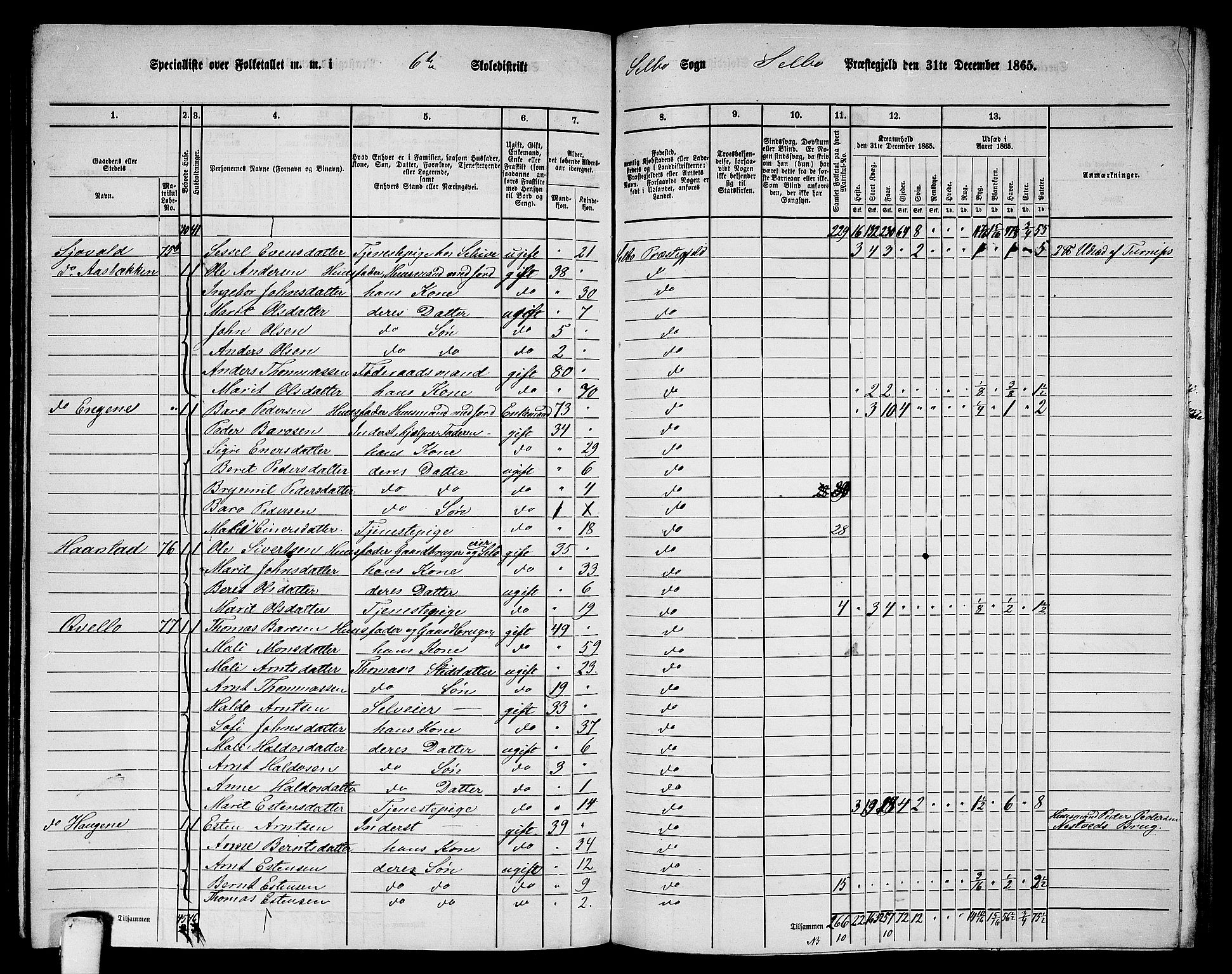 RA, 1865 census for Selbu, 1865, p. 99