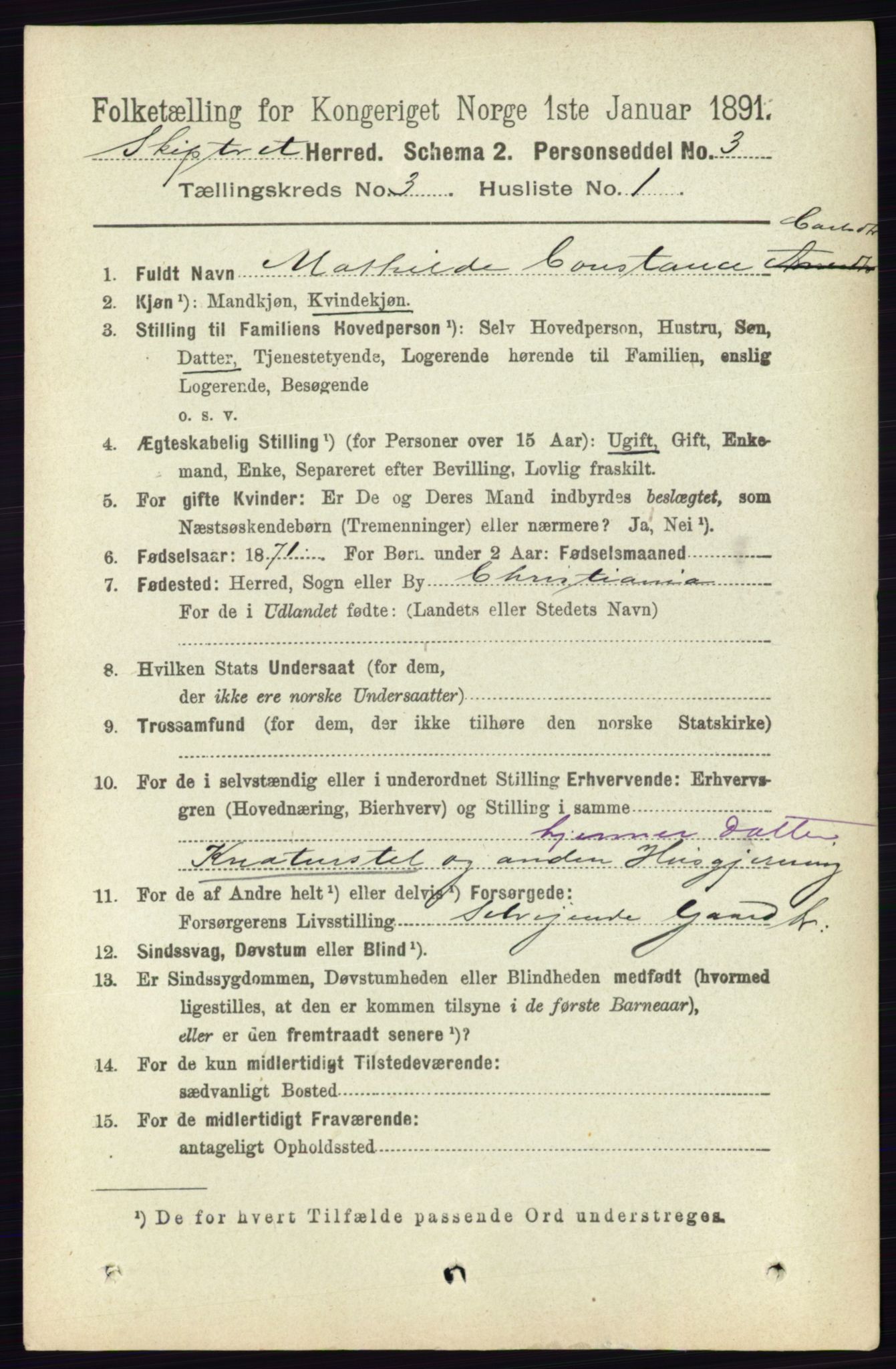 RA, 1891 census for 0127 Skiptvet, 1891, p. 1235