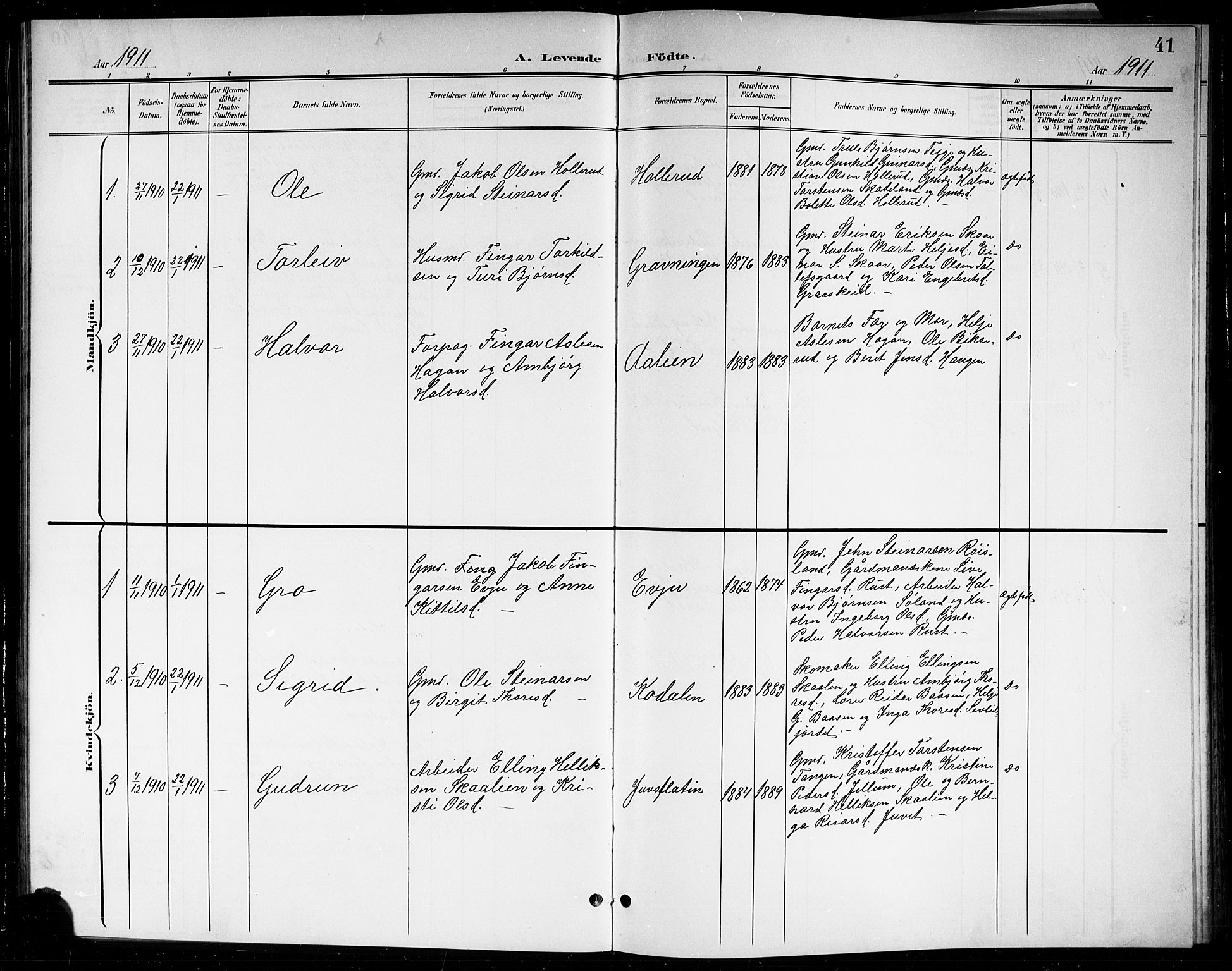 Sigdal kirkebøker, SAKO/A-245/G/Gb/L0003: Parish register (copy) no. II 3, 1901-1916, p. 41