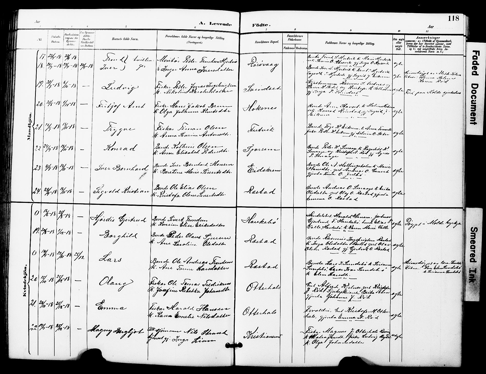 Ministerialprotokoller, klokkerbøker og fødselsregistre - Møre og Romsdal, AV/SAT-A-1454/560/L0725: Parish register (copy) no. 560C02, 1895-1930, p. 118