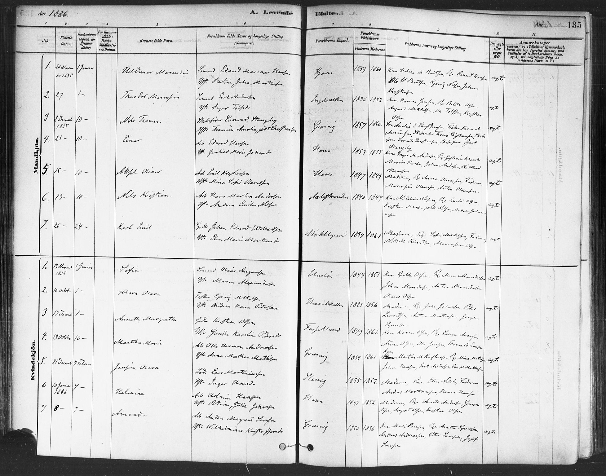 Onsøy prestekontor Kirkebøker, AV/SAO-A-10914/F/Fa/L0005: Parish register (official) no. I 5, 1878-1898, p. 135