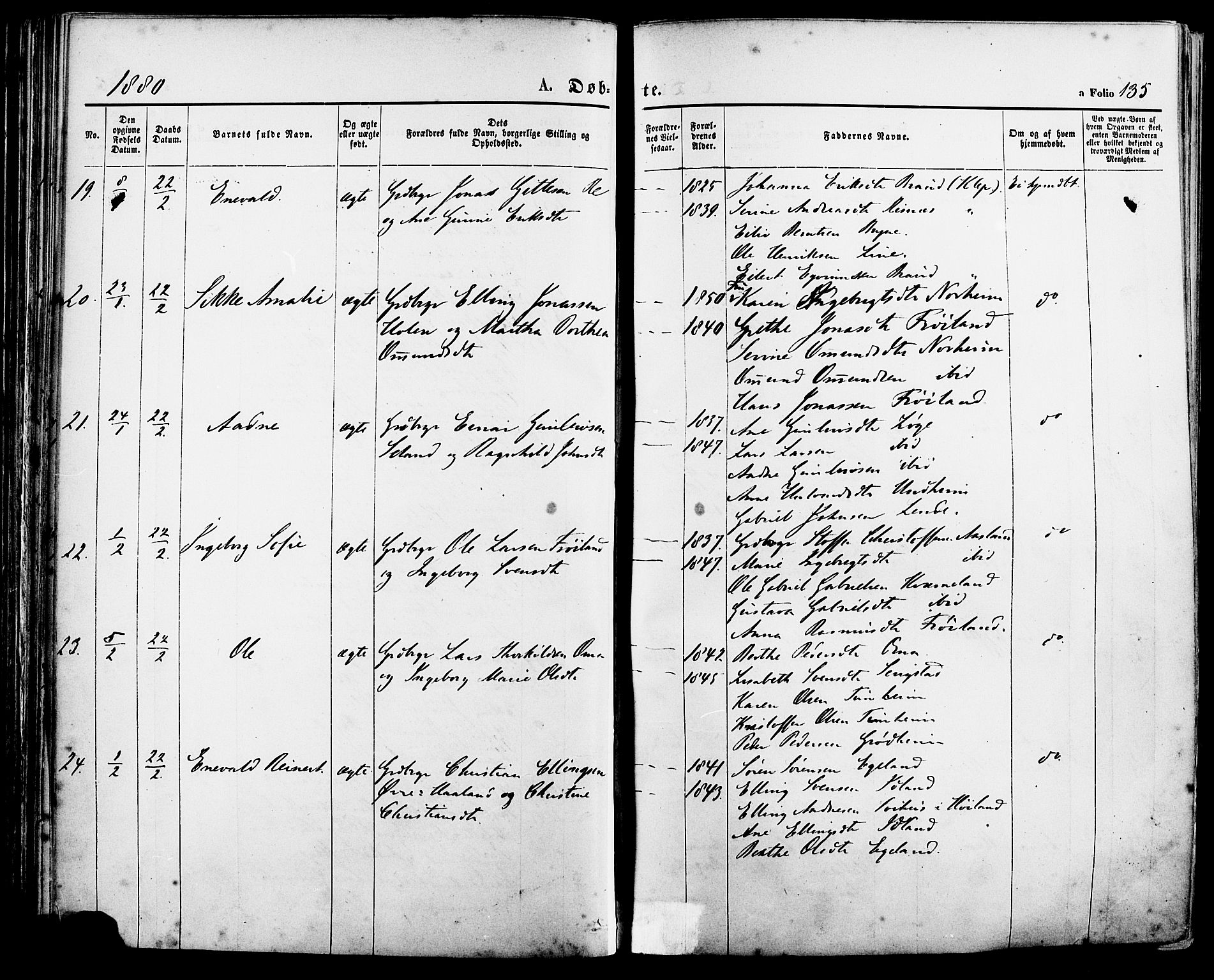 Lye sokneprestkontor, AV/SAST-A-101794/001/30BA/L0008: Parish register (official) no. A 7, 1872-1881, p. 135