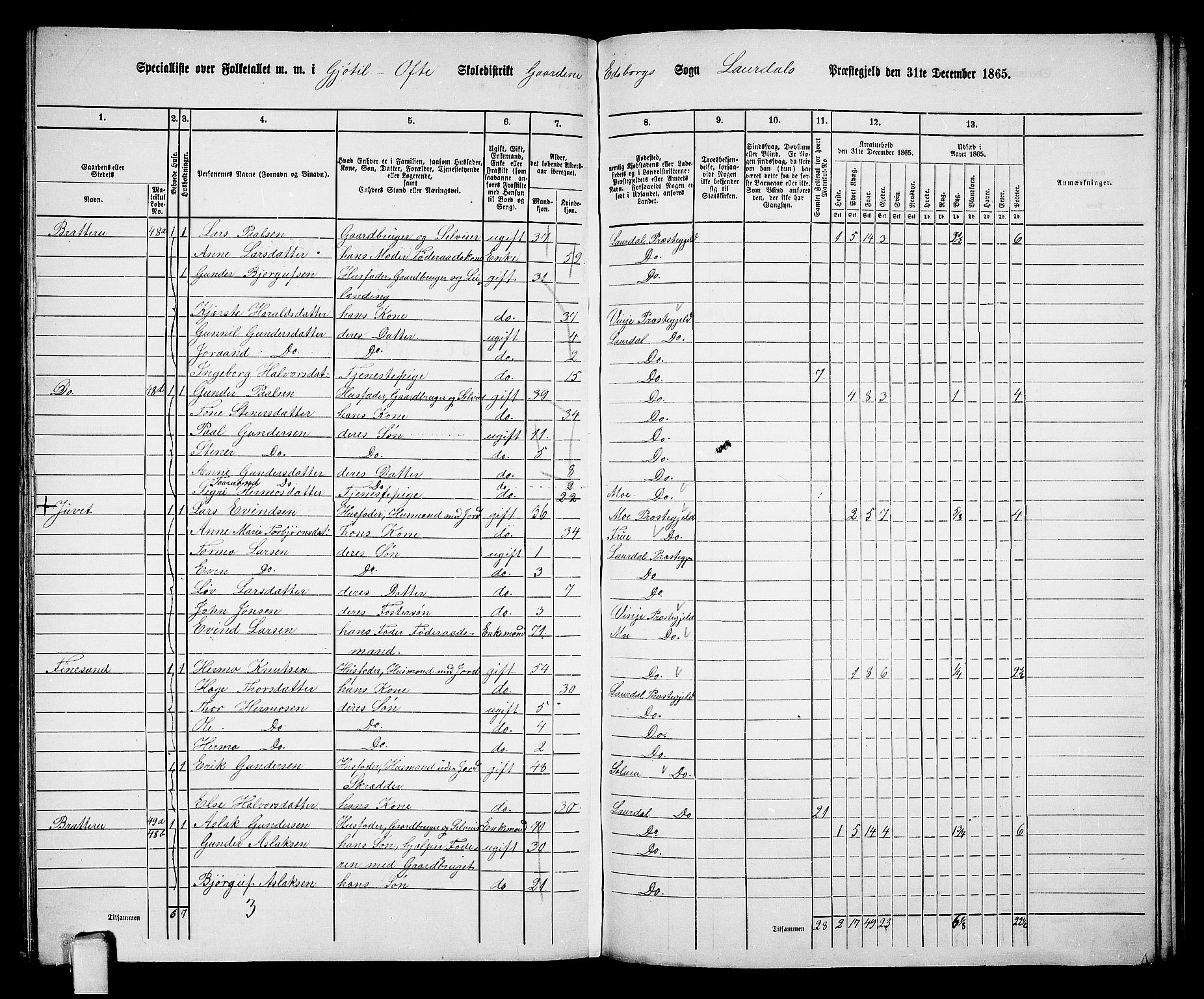 RA, 1865 census for Lårdal, 1865, p. 38