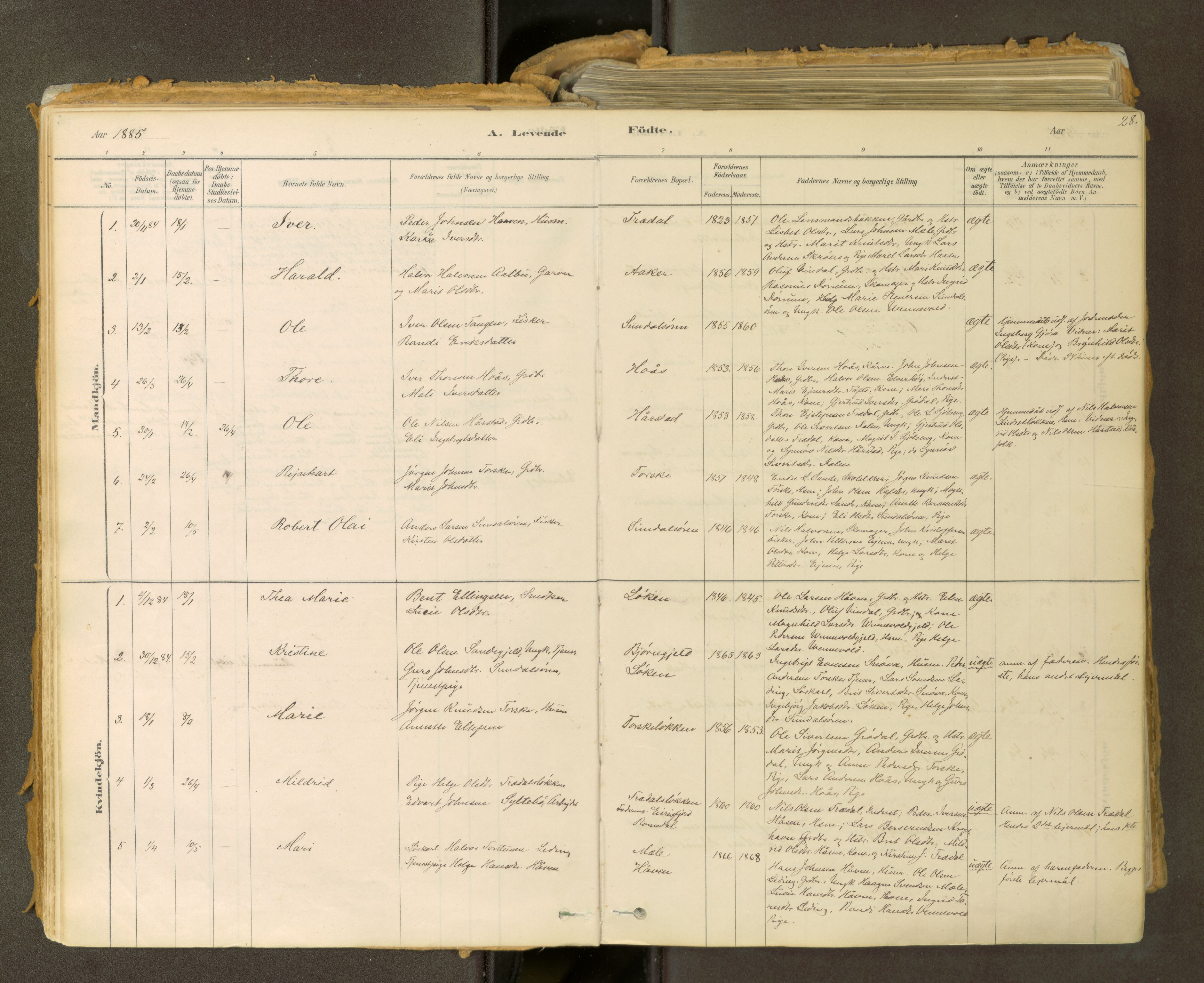 Sunndal sokneprestkontor, SAT/A-1085/1/I/I1/I1a: Parish register (official) no. 2, 1877-1914, p. 28