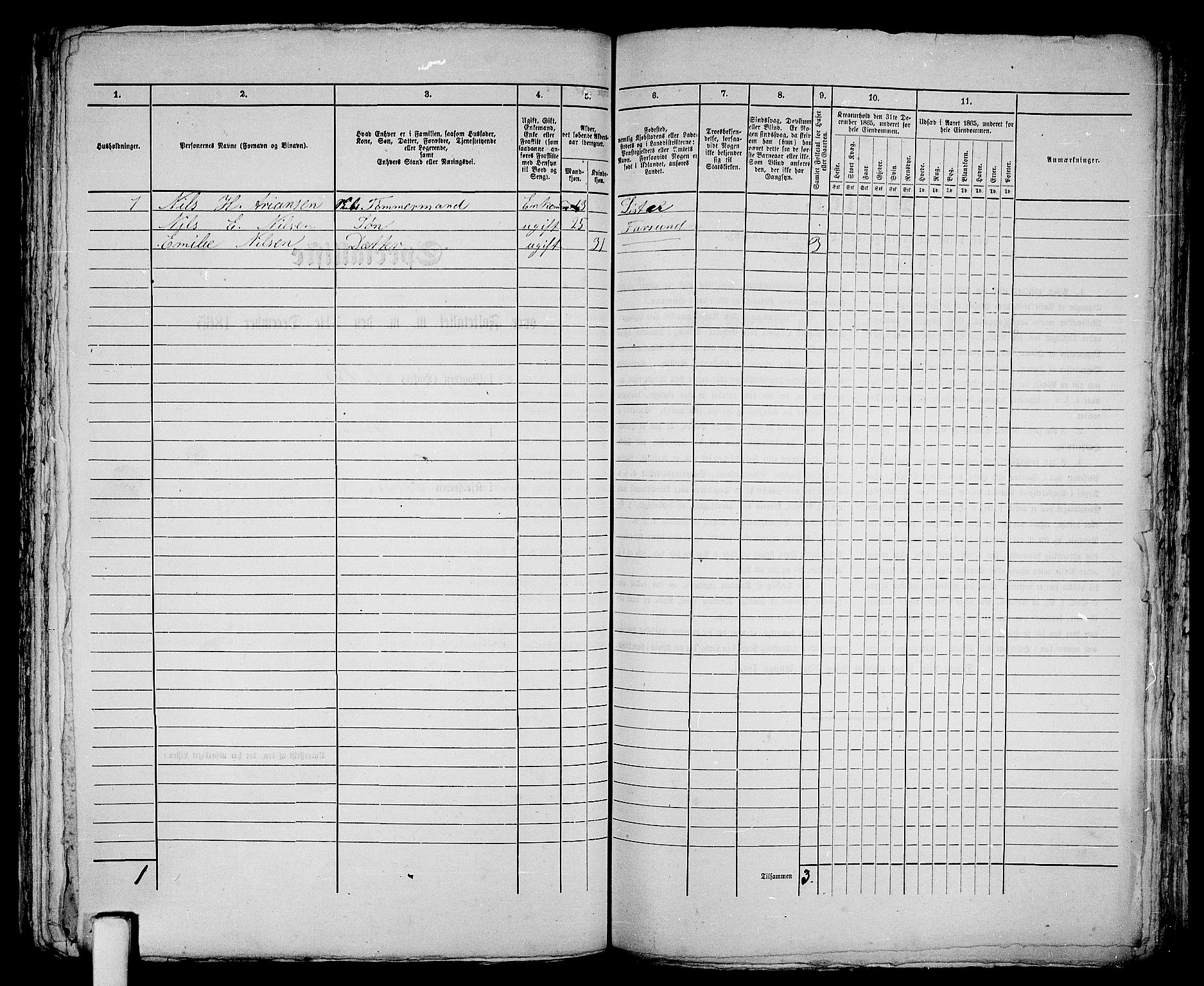 RA, 1865 census for Vanse/Farsund, 1865, p. 247