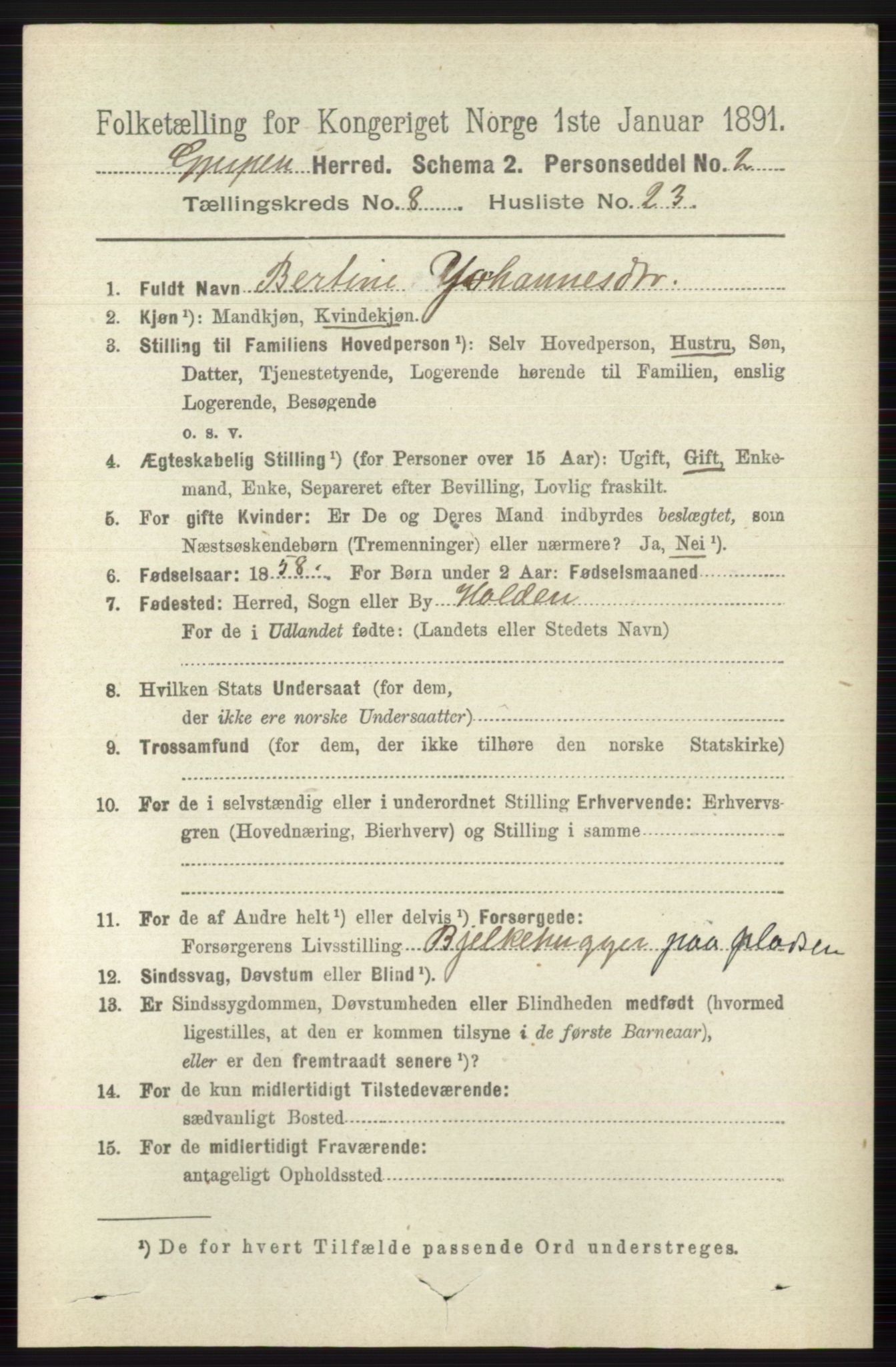 RA, 1891 census for 0812 Gjerpen, 1891, p. 4199