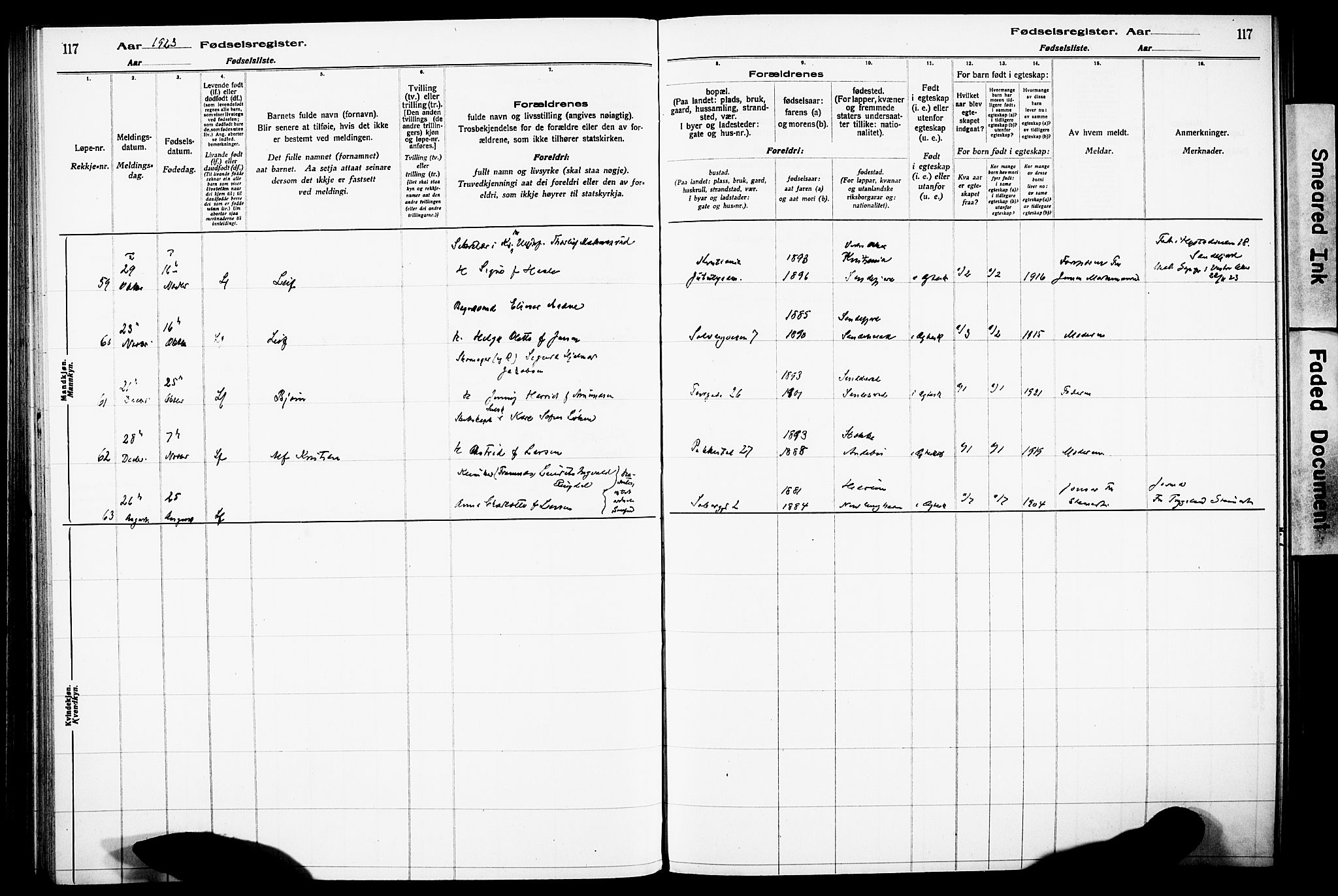 Sandefjord kirkebøker, AV/SAKO-A-315/J/Ja/L0001: Birth register no. 1, 1916-1932, p. 117