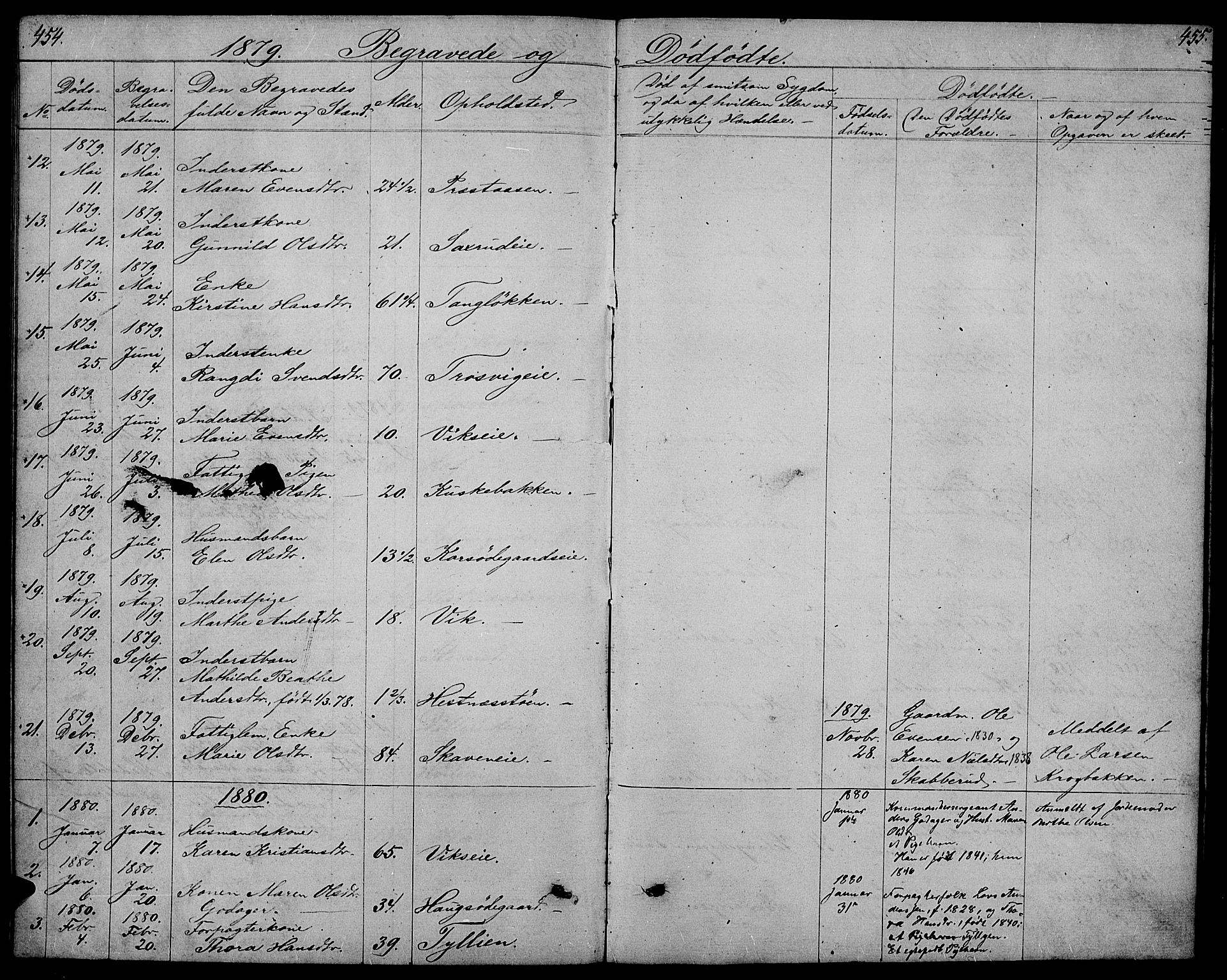 Stange prestekontor, AV/SAH-PREST-002/L/L0005: Parish register (copy) no. 5, 1861-1881, p. 454-455