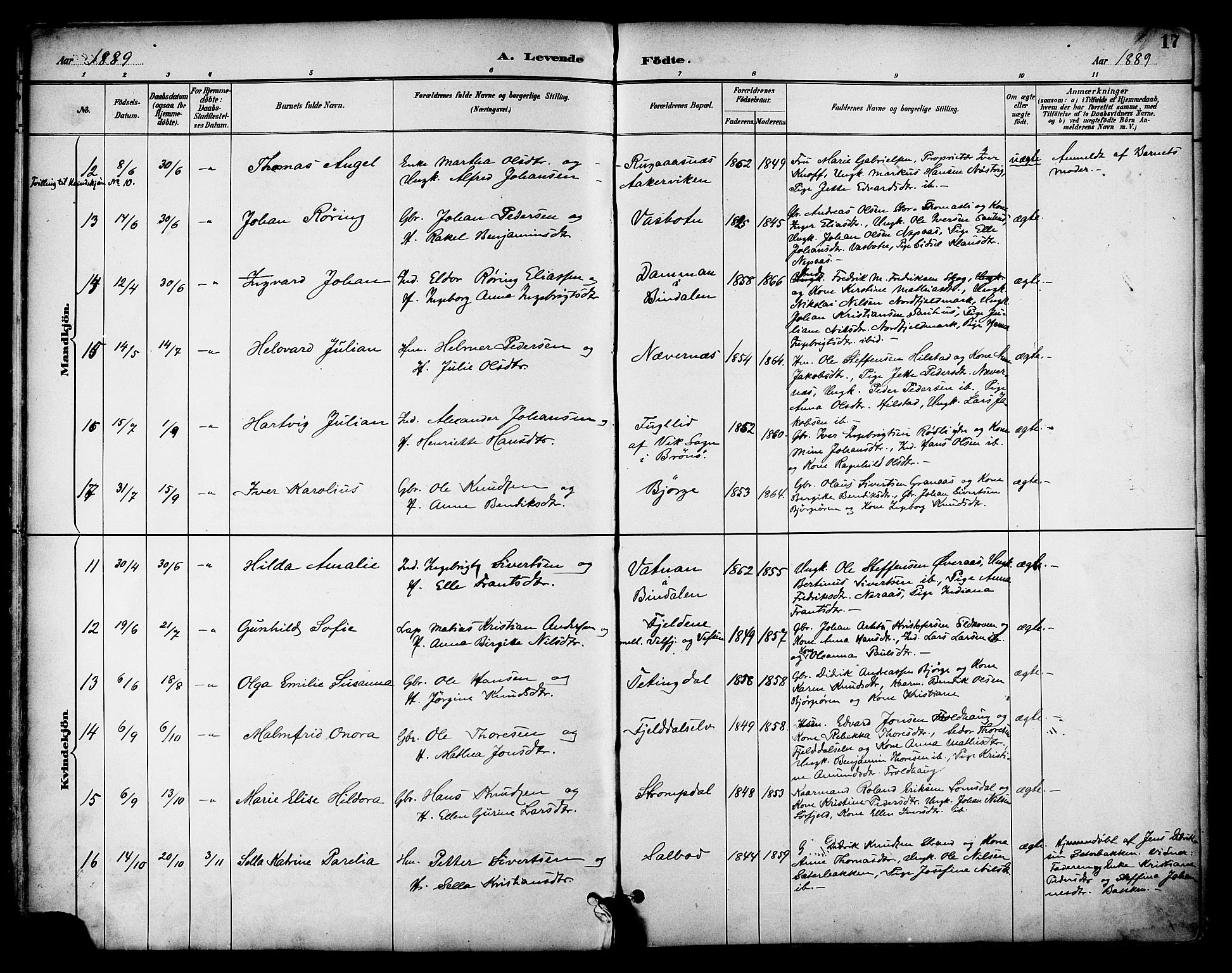 Ministerialprotokoller, klokkerbøker og fødselsregistre - Nordland, AV/SAT-A-1459/814/L0226: Parish register (official) no. 814A07, 1886-1898, p. 17