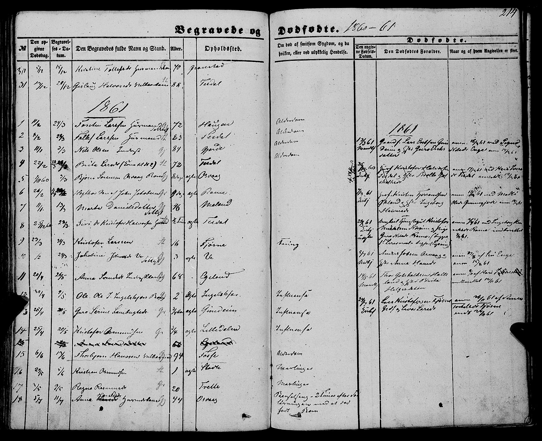 Etne sokneprestembete, AV/SAB-A-75001/H/Haa: Parish register (official) no. A 8, 1848-1862, p. 214