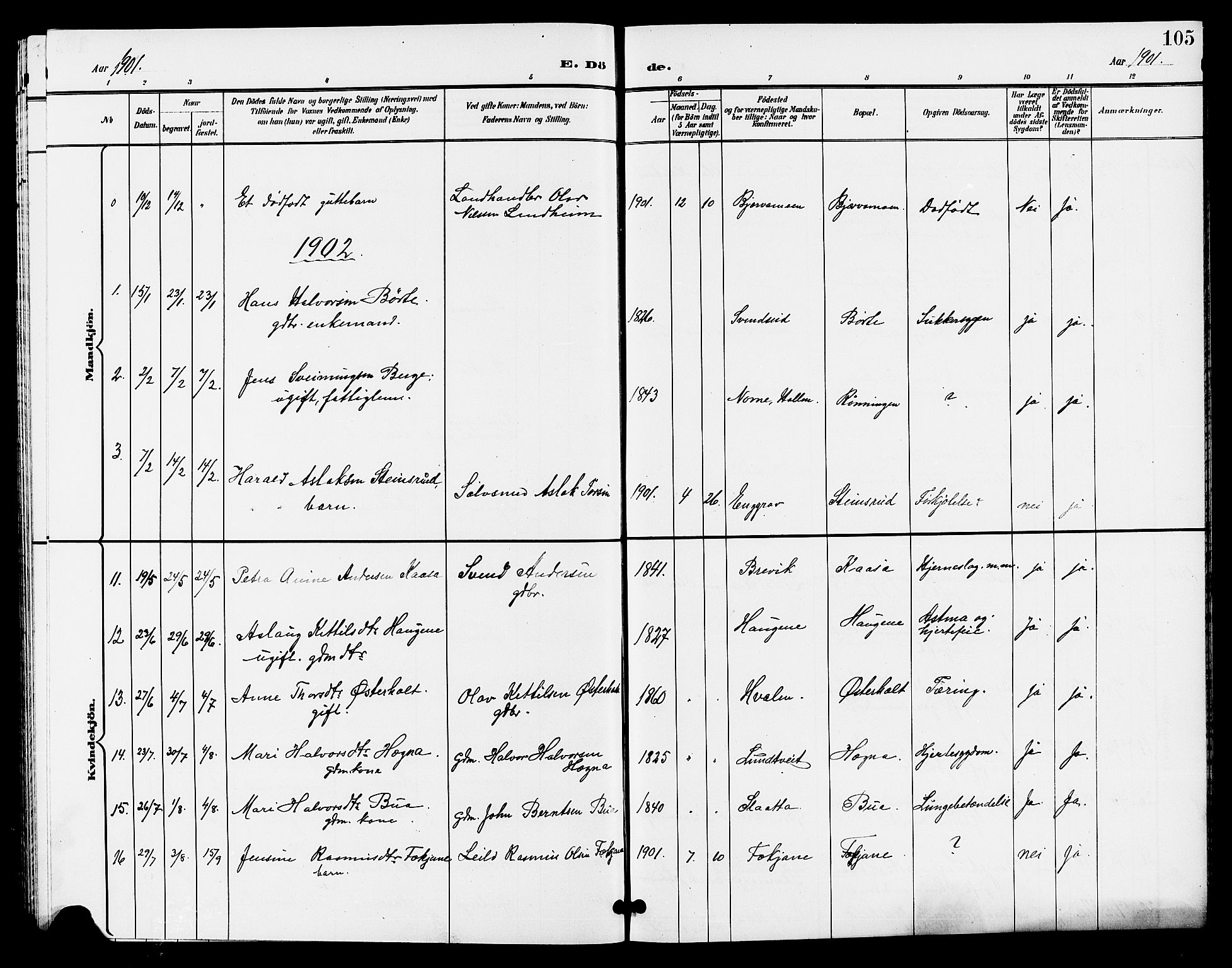 Lunde kirkebøker, SAKO/A-282/G/Ga/L0003: Parish register (copy) no. I 3, 1896-1905, p. 105