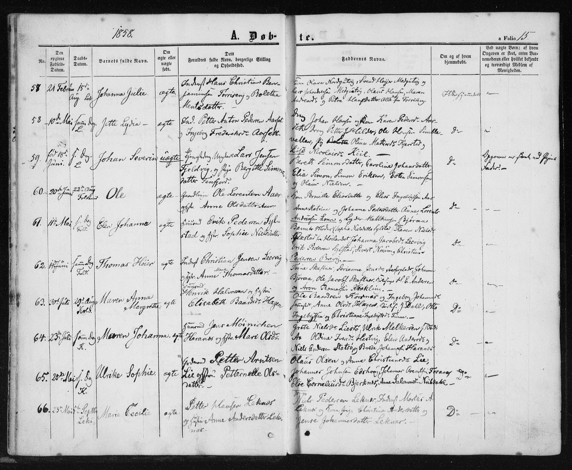 Ministerialprotokoller, klokkerbøker og fødselsregistre - Nord-Trøndelag, AV/SAT-A-1458/780/L0641: Parish register (official) no. 780A06, 1857-1874, p. 15