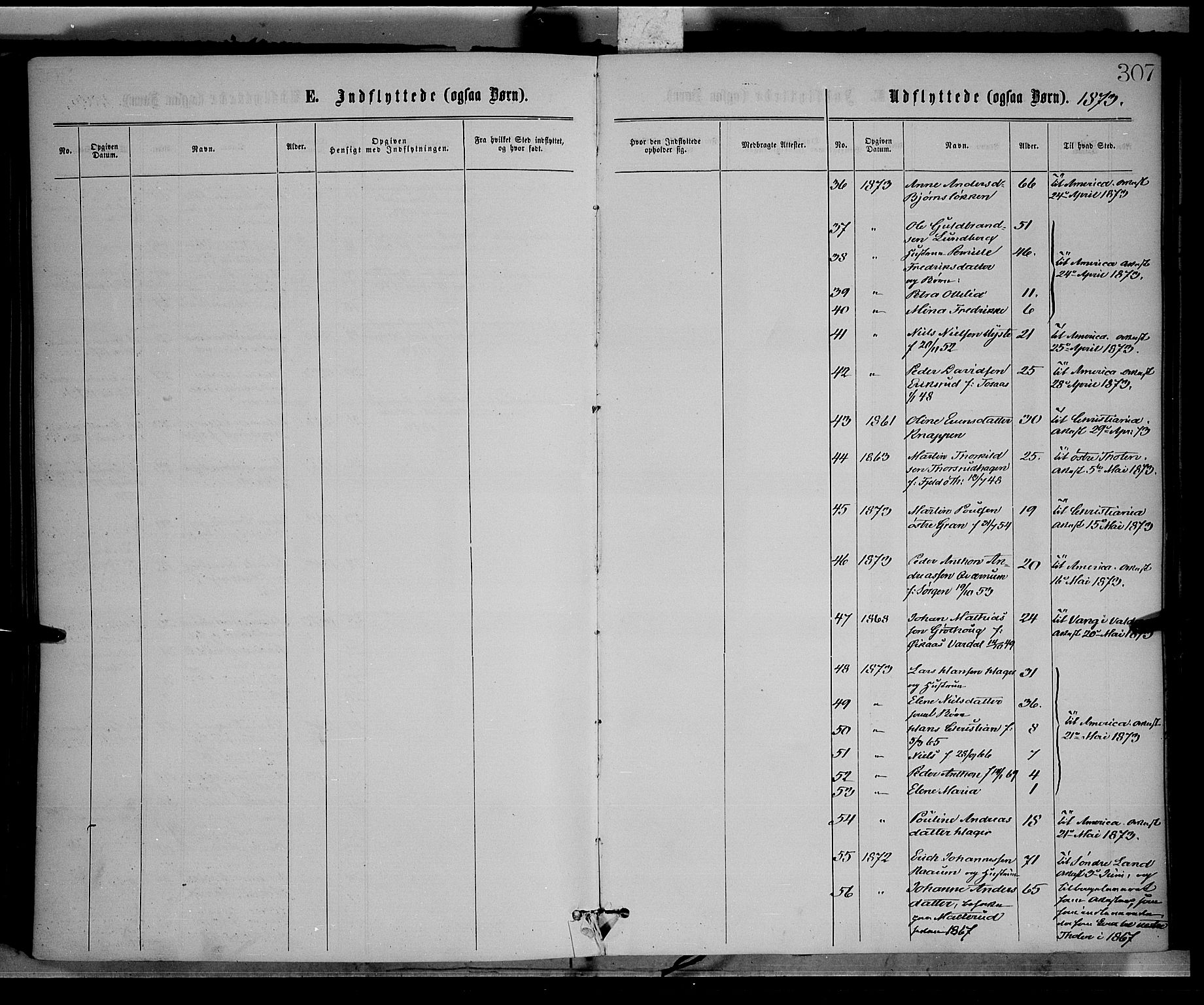 Vestre Toten prestekontor, AV/SAH-PREST-108/H/Ha/Haa/L0008: Parish register (official) no. 8, 1870-1877, p. 307