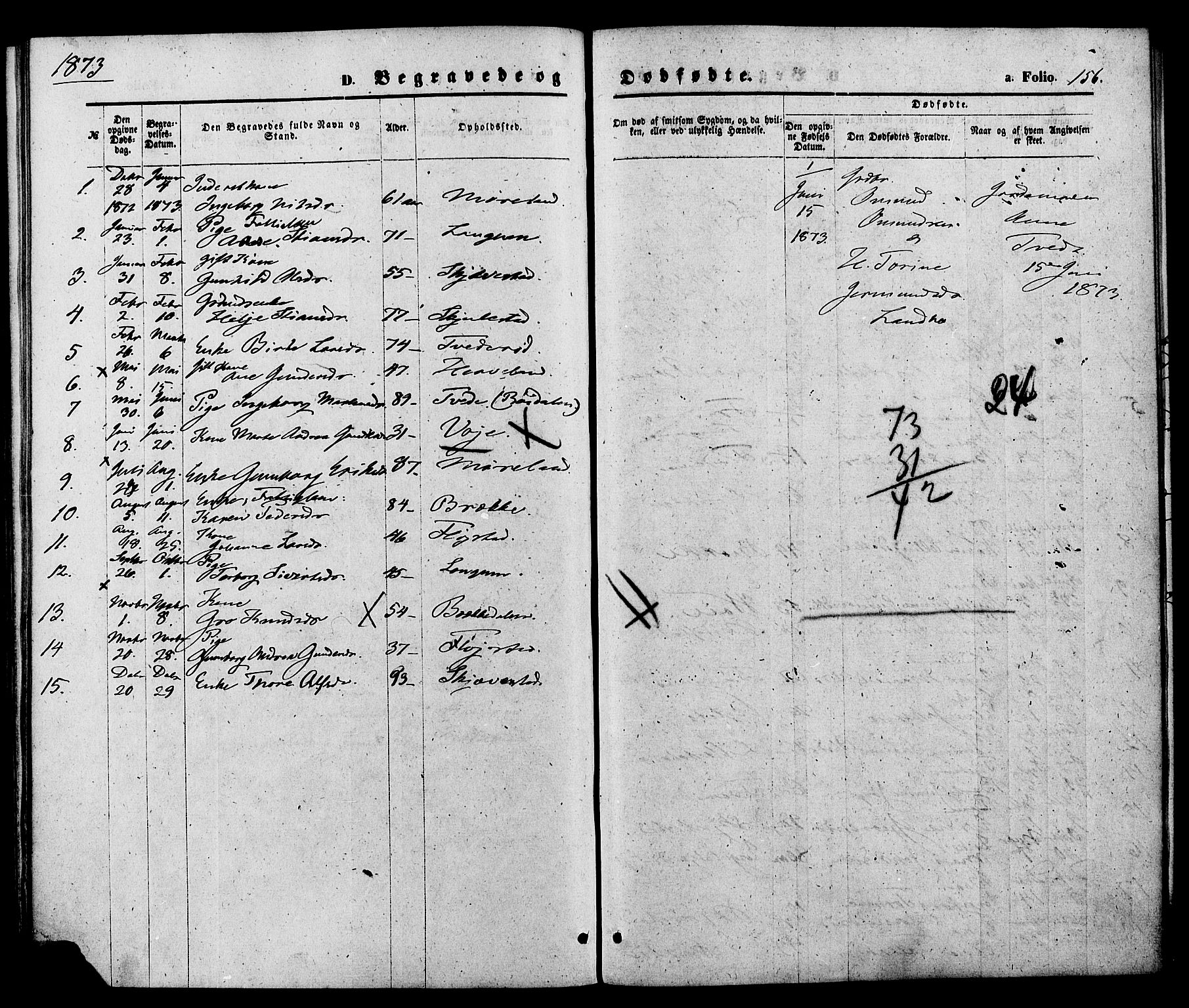 Austre Moland sokneprestkontor, SAK/1111-0001/F/Fa/Faa/L0009: Parish register (official) no. A 9, 1869-1879, p. 156