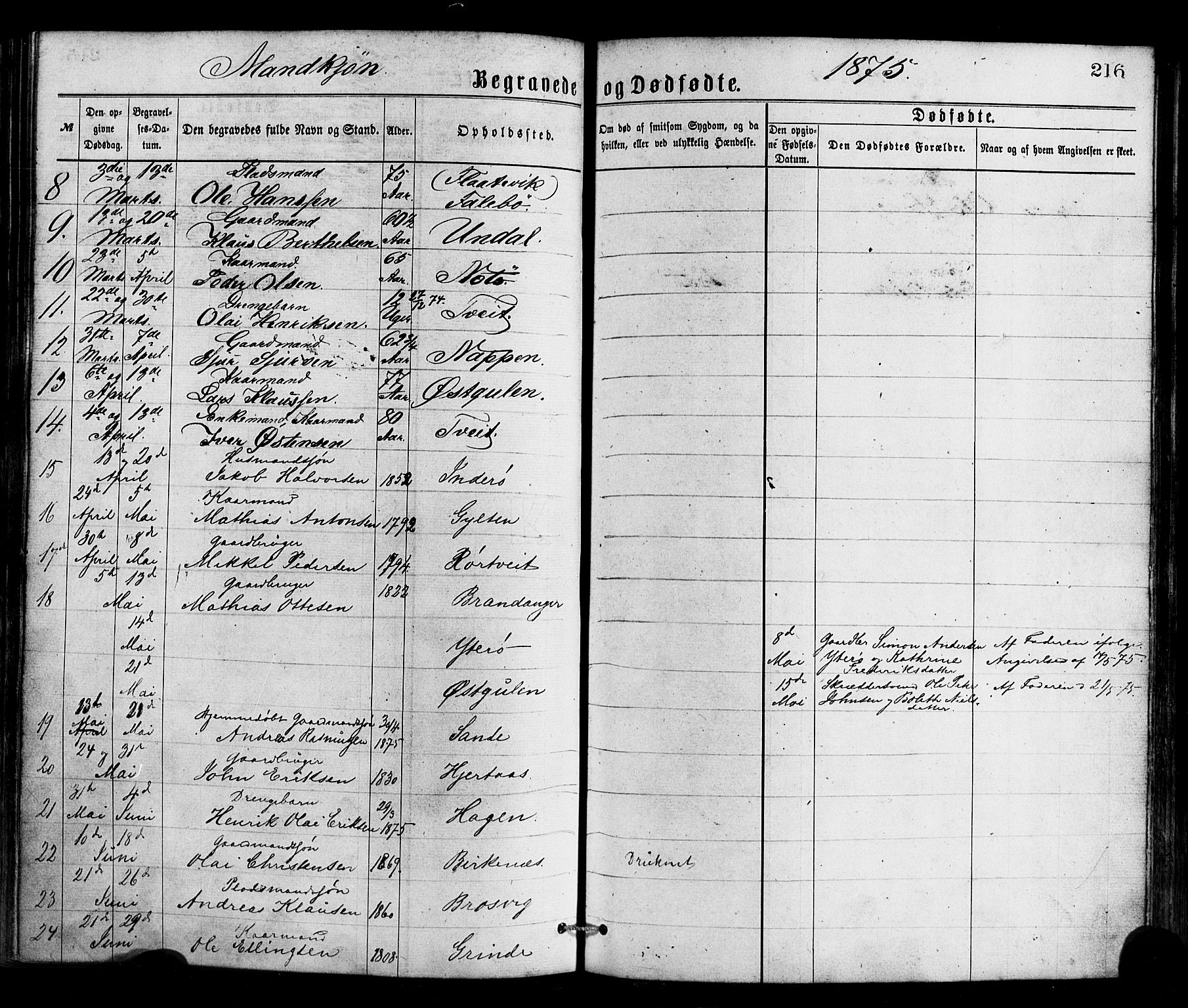 Gulen sokneprestembete, AV/SAB-A-80201/H/Haa/Haaa/L0023: Parish register (official) no. A 23, 1870-1880, p. 216