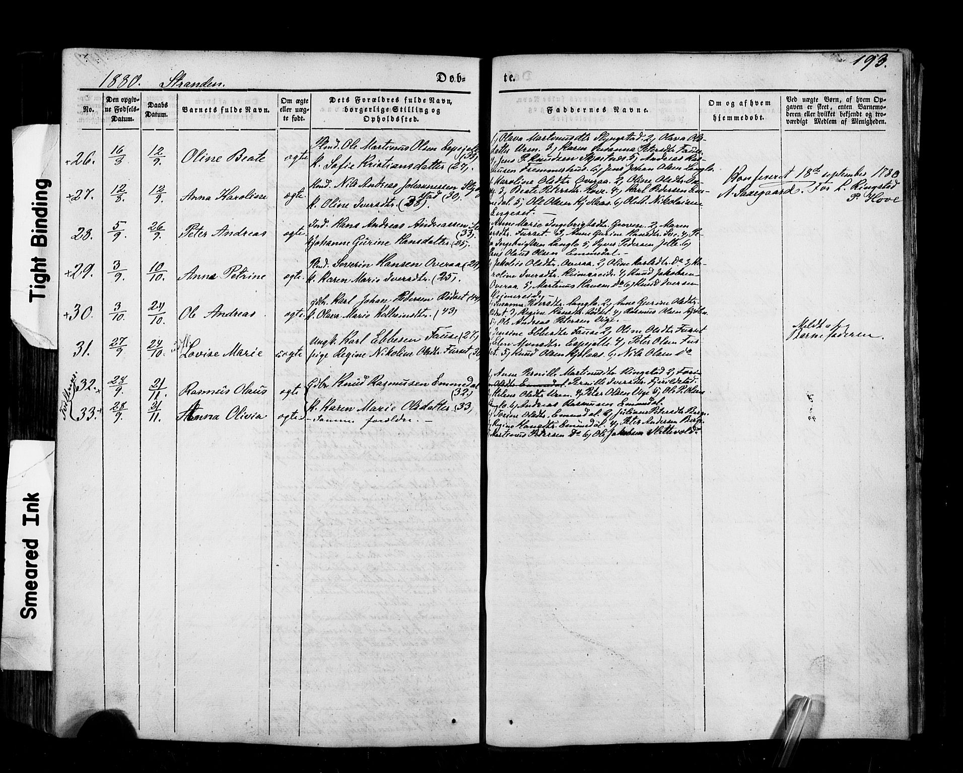 Ministerialprotokoller, klokkerbøker og fødselsregistre - Møre og Romsdal, AV/SAT-A-1454/520/L0275: Parish register (official) no. 520A05, 1844-1881, p. 193