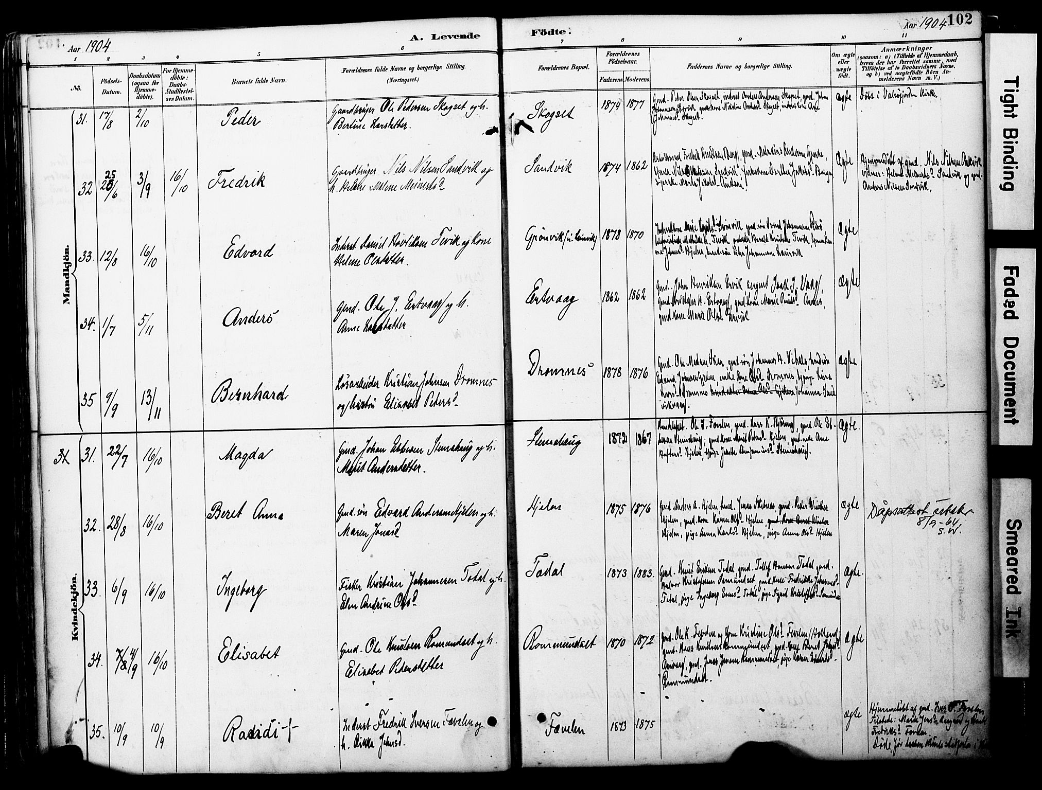 Ministerialprotokoller, klokkerbøker og fødselsregistre - Møre og Romsdal, AV/SAT-A-1454/578/L0907: Parish register (official) no. 578A06, 1887-1904, p. 102