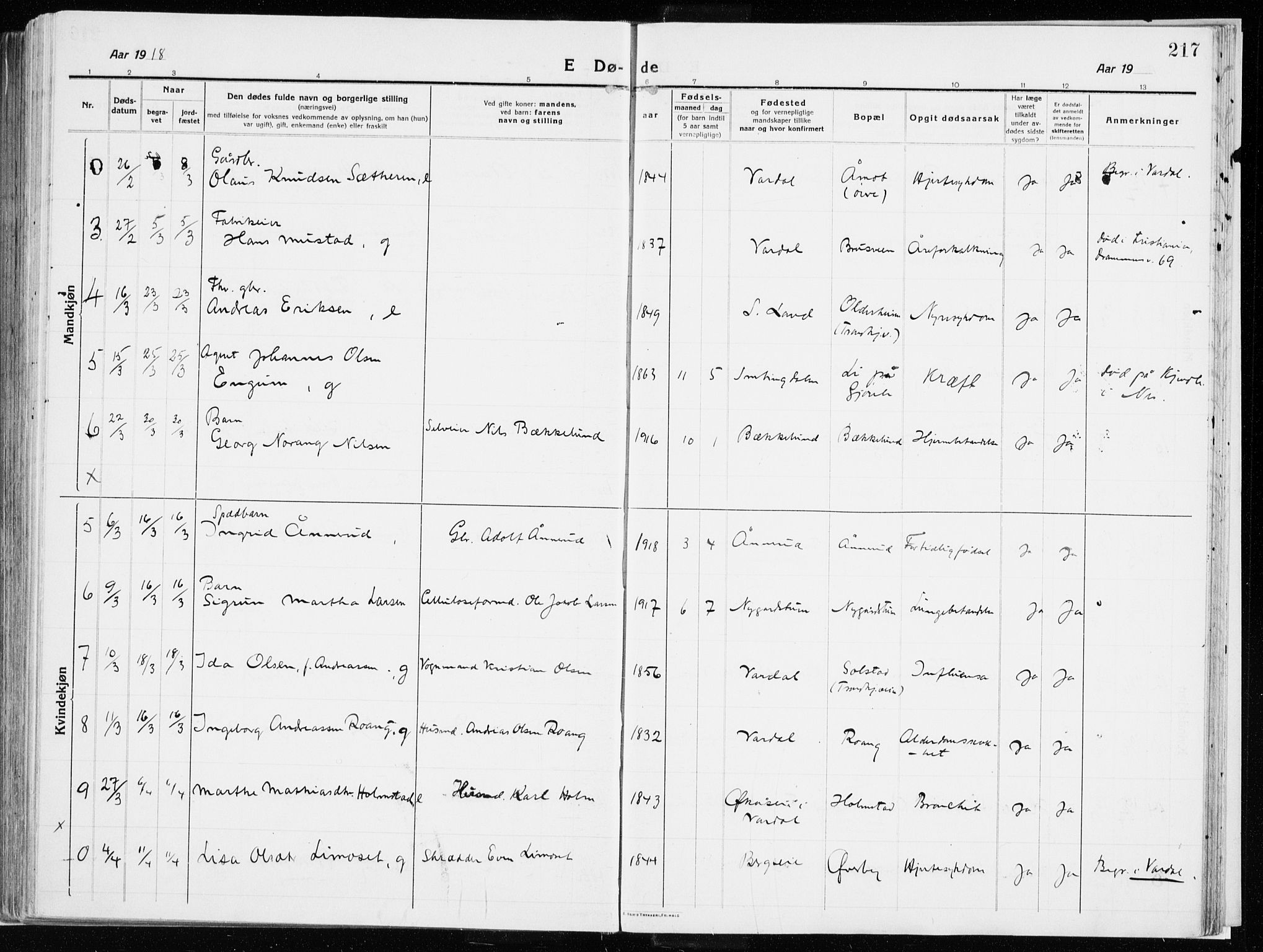 Vardal prestekontor, SAH/PREST-100/H/Ha/Haa/L0017: Parish register (official) no. 17, 1915-1929, p. 217
