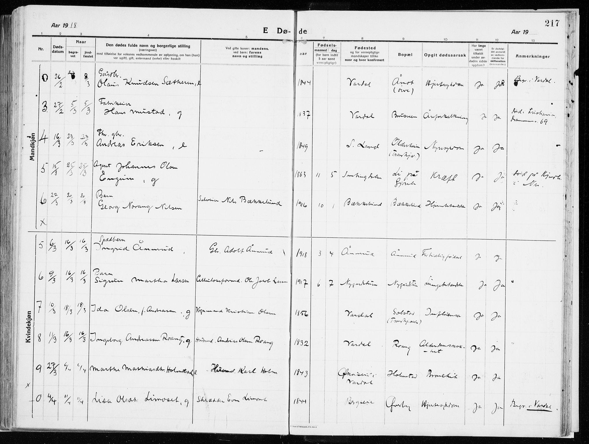 Vardal prestekontor, AV/SAH-PREST-100/H/Ha/Haa/L0017: Parish register (official) no. 17, 1915-1929, p. 217