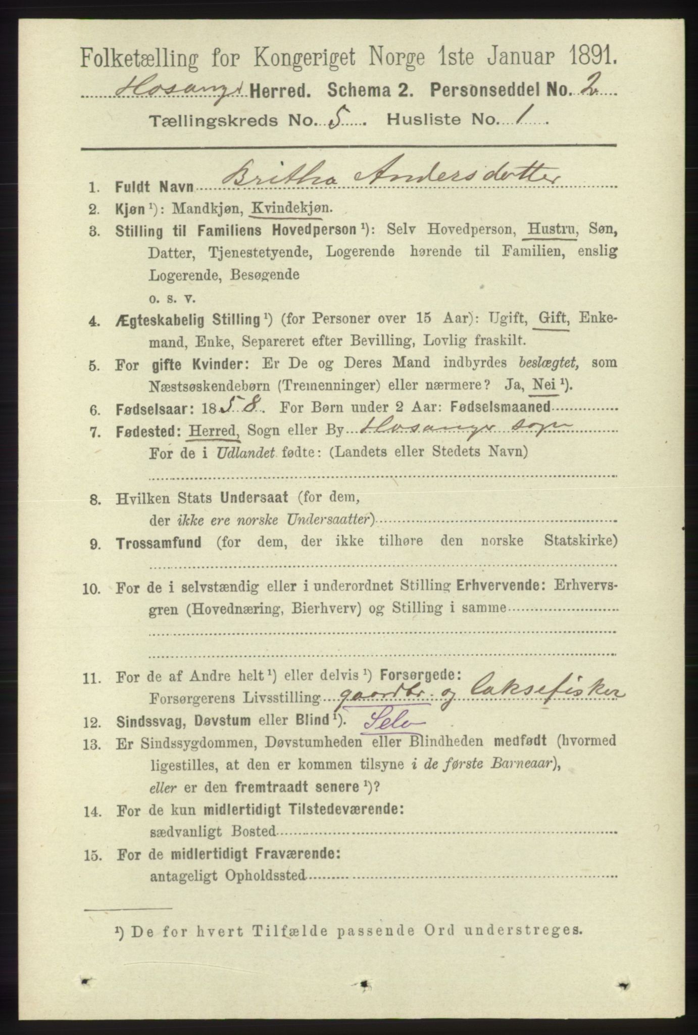 RA, 1891 census for 1253 Hosanger, 1891, p. 1785