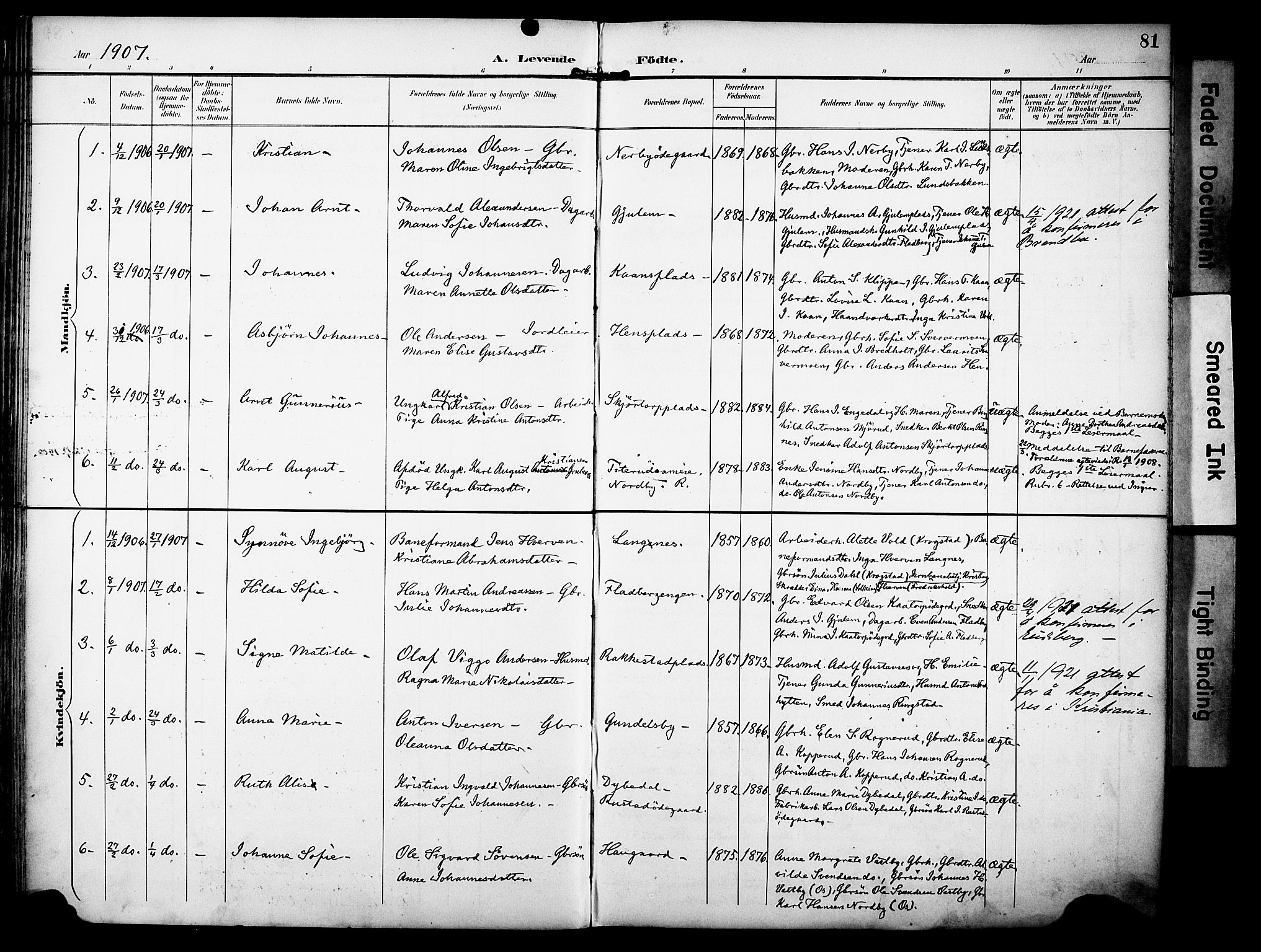 Rakkestad prestekontor Kirkebøker, AV/SAO-A-2008/F/Fa/L0013: Parish register (official) no. I 13, 1894-1908, p. 81