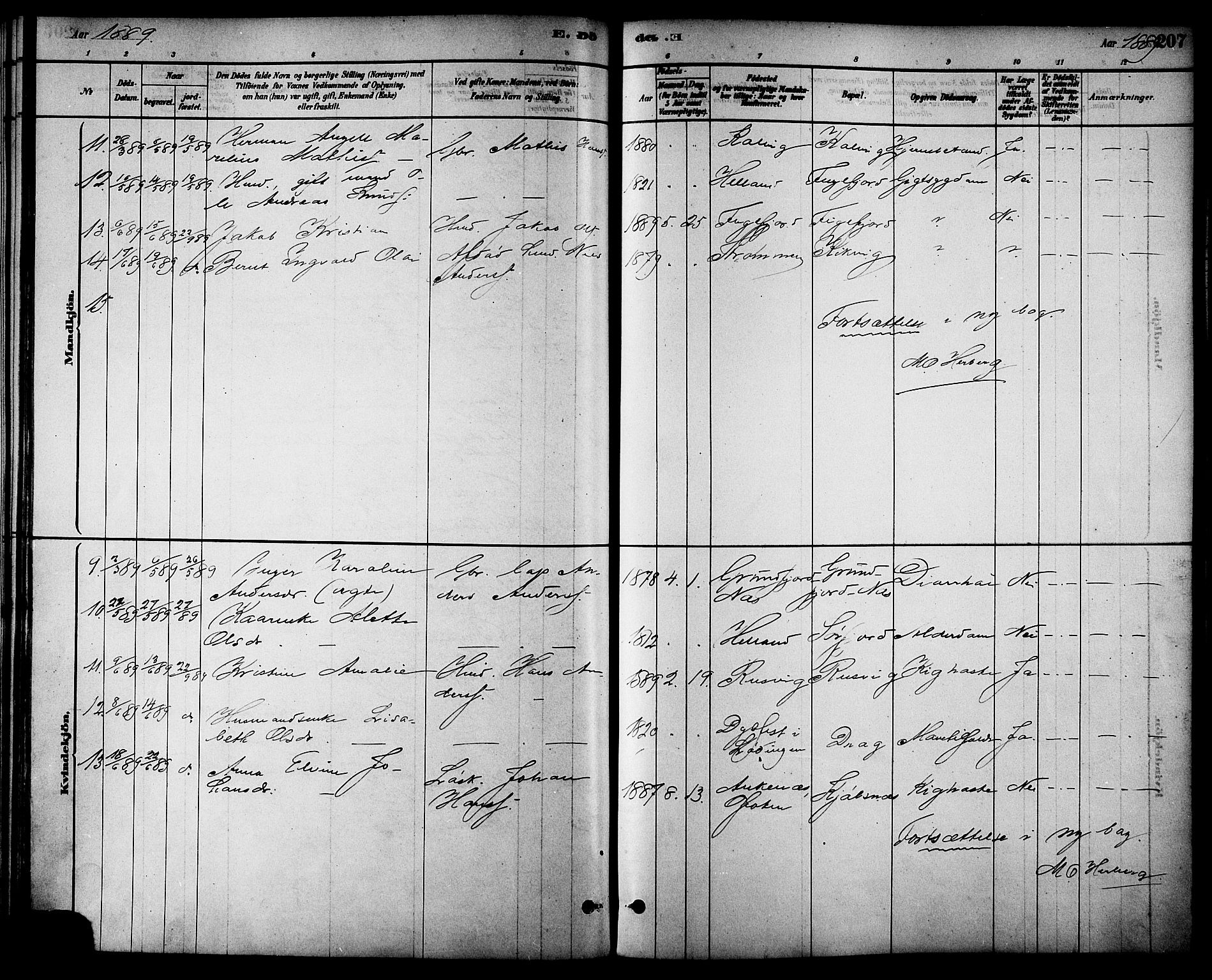 Ministerialprotokoller, klokkerbøker og fødselsregistre - Nordland, AV/SAT-A-1459/861/L0868: Parish register (official) no. 861A03, 1879-1889, p. 207