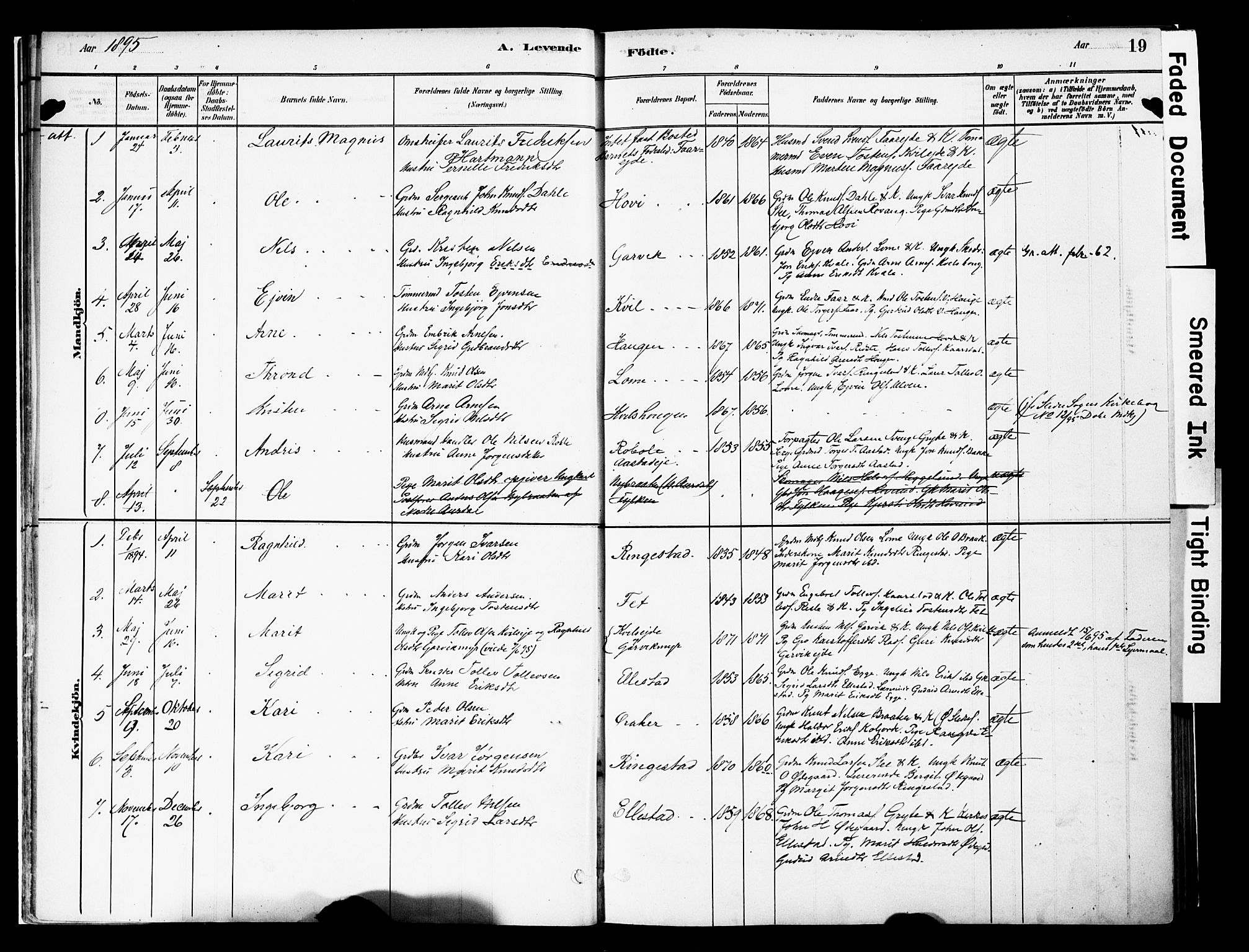 Vestre Slidre prestekontor, SAH/PREST-136/H/Ha/Haa/L0005: Parish register (official) no. 5, 1881-1912, p. 19