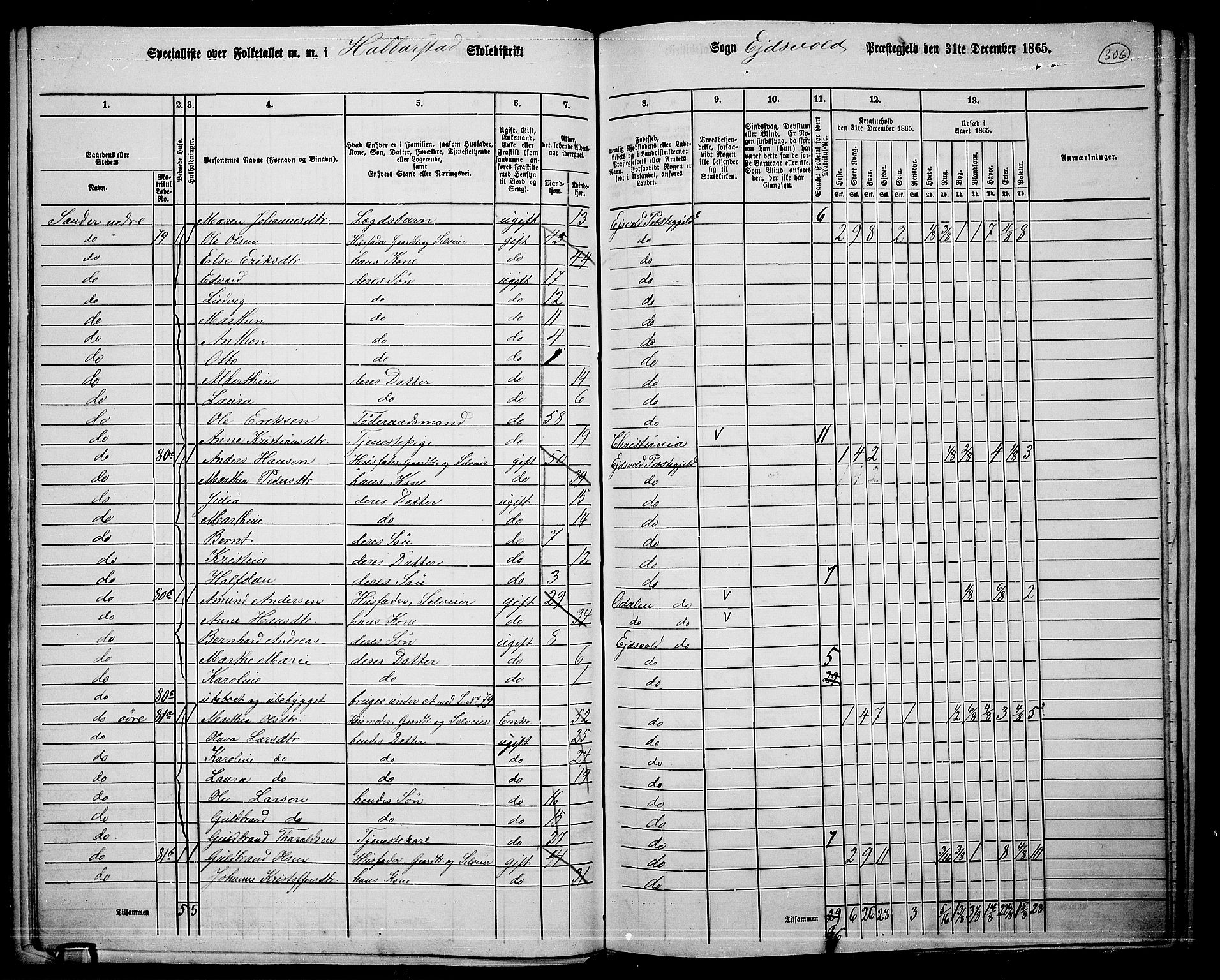 RA, 1865 census for Eidsvoll, 1865, p. 272