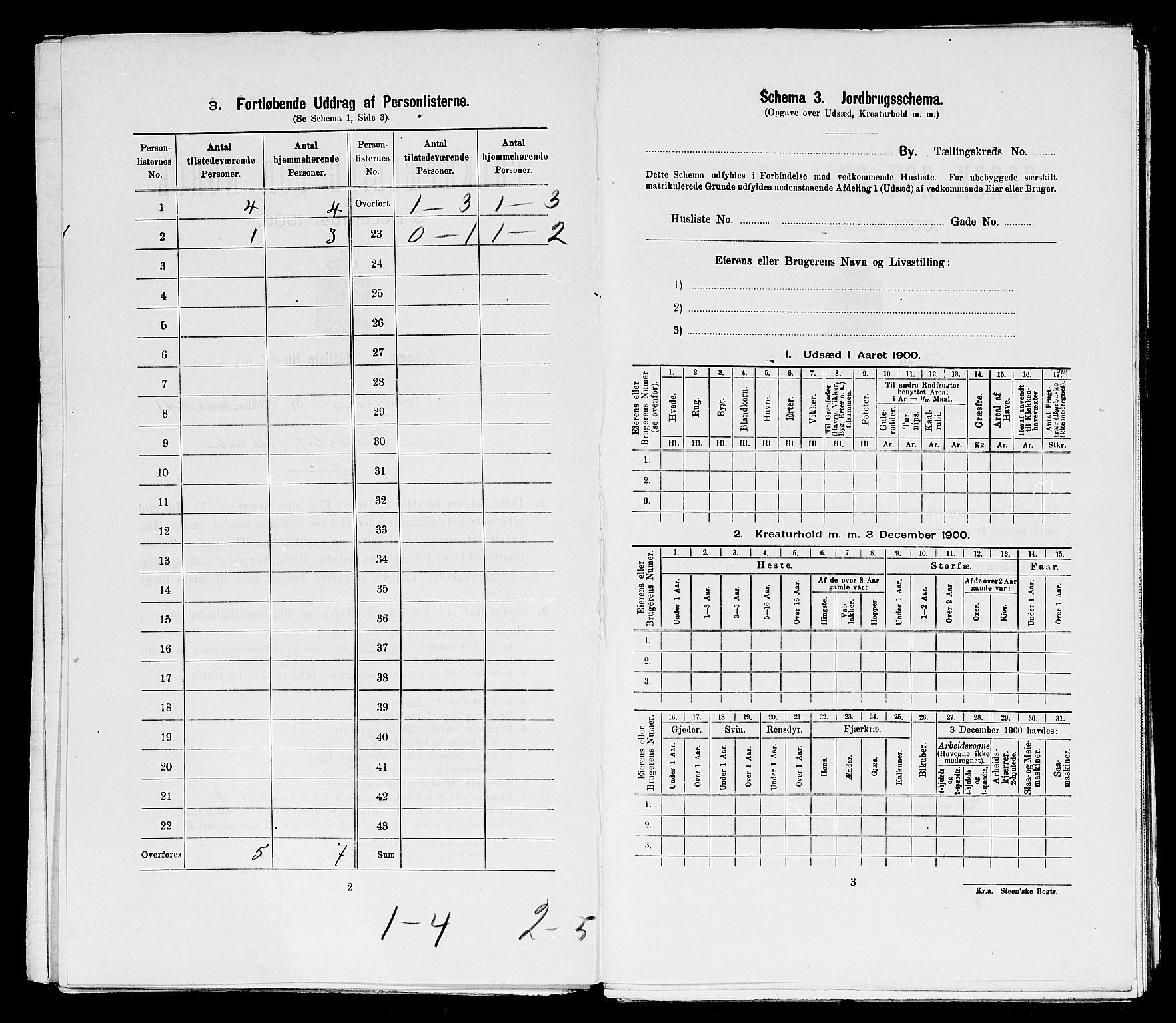 SAST, 1900 census for Stavanger, 1900, p. 15012
