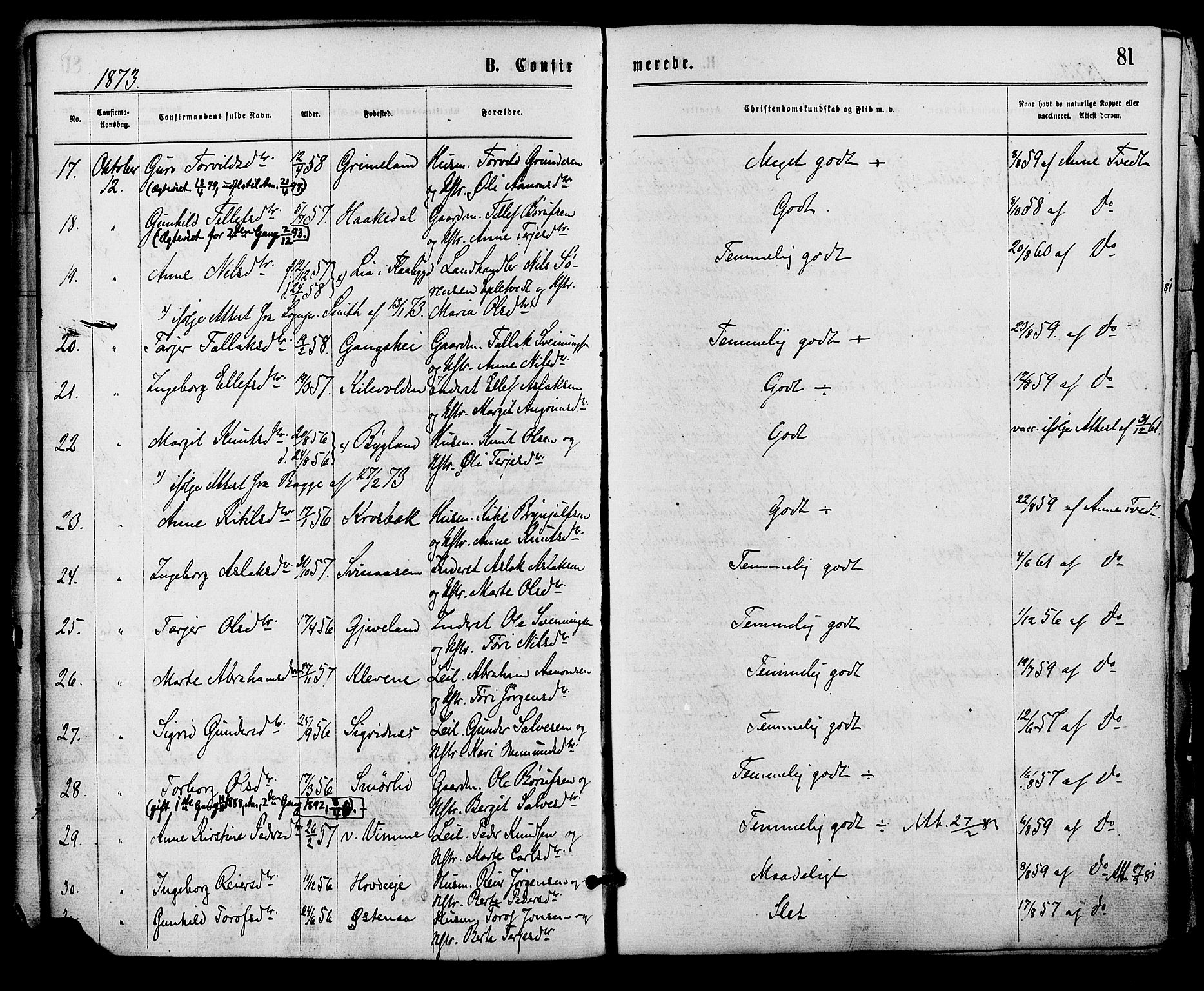 Åmli sokneprestkontor, AV/SAK-1111-0050/F/Fa/Fac/L0009: Parish register (official) no. A 9 /1, 1869-1884, p. 81