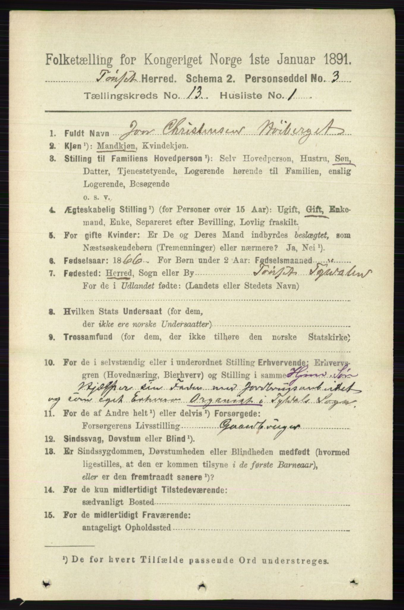 RA, 1891 census for 0437 Tynset, 1891, p. 3517