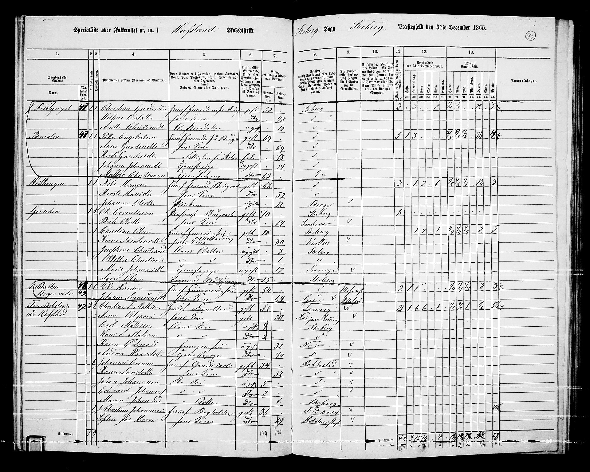 RA, 1865 census for Skjeberg, 1865, p. 87
