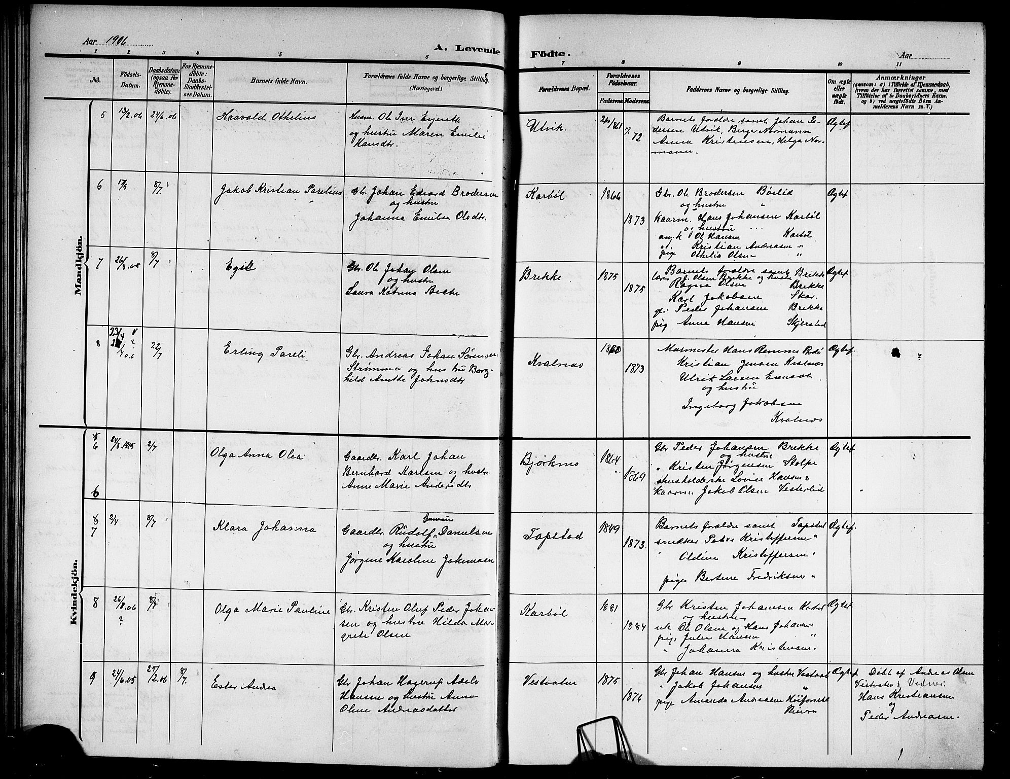 Ministerialprotokoller, klokkerbøker og fødselsregistre - Nordland, AV/SAT-A-1459/852/L0756: Parish register (copy) no. 852C07, 1902-1916