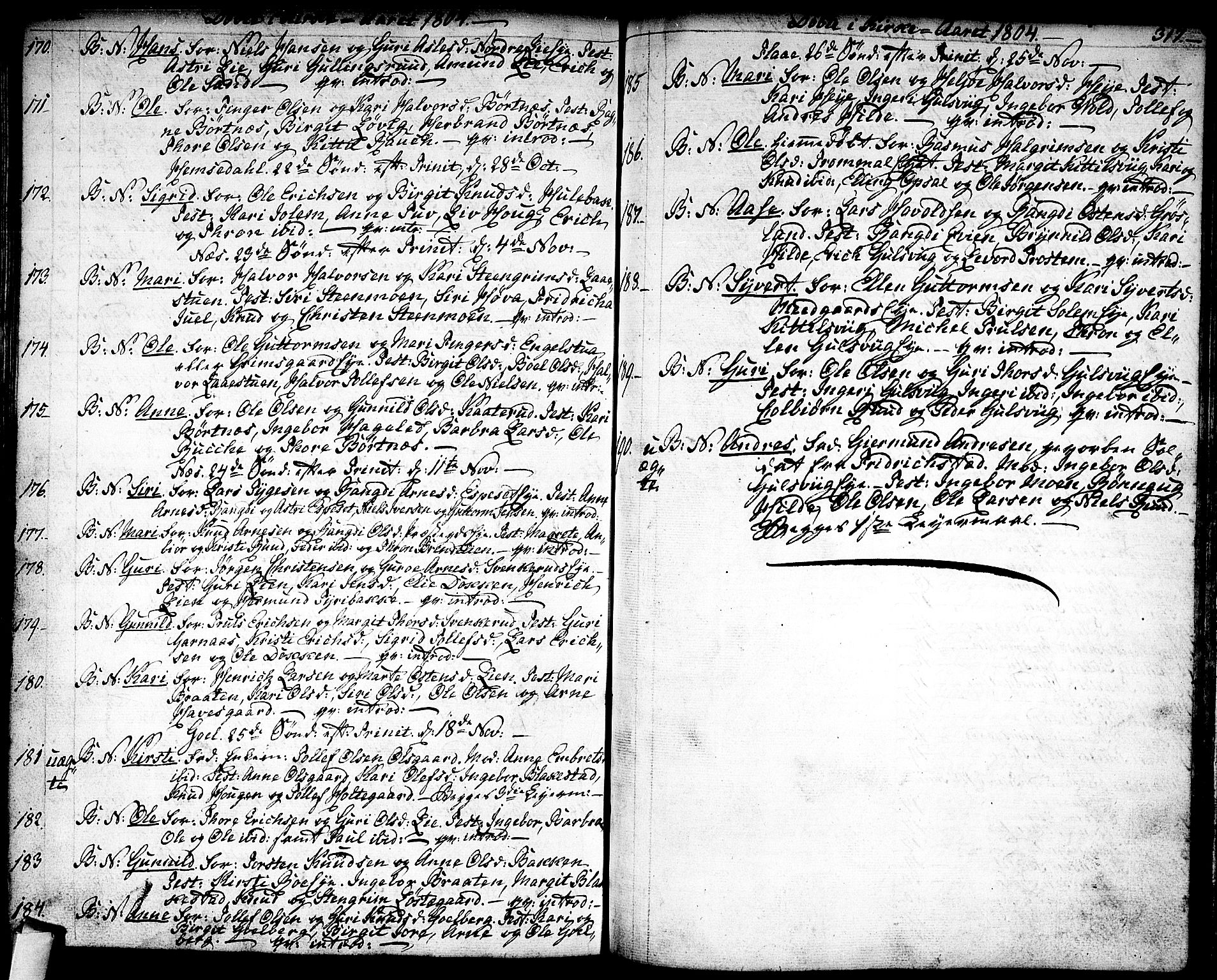 Nes kirkebøker, AV/SAKO-A-236/F/Fa/L0005: Parish register (official) no. 5, 1787-1807, p. 316-317