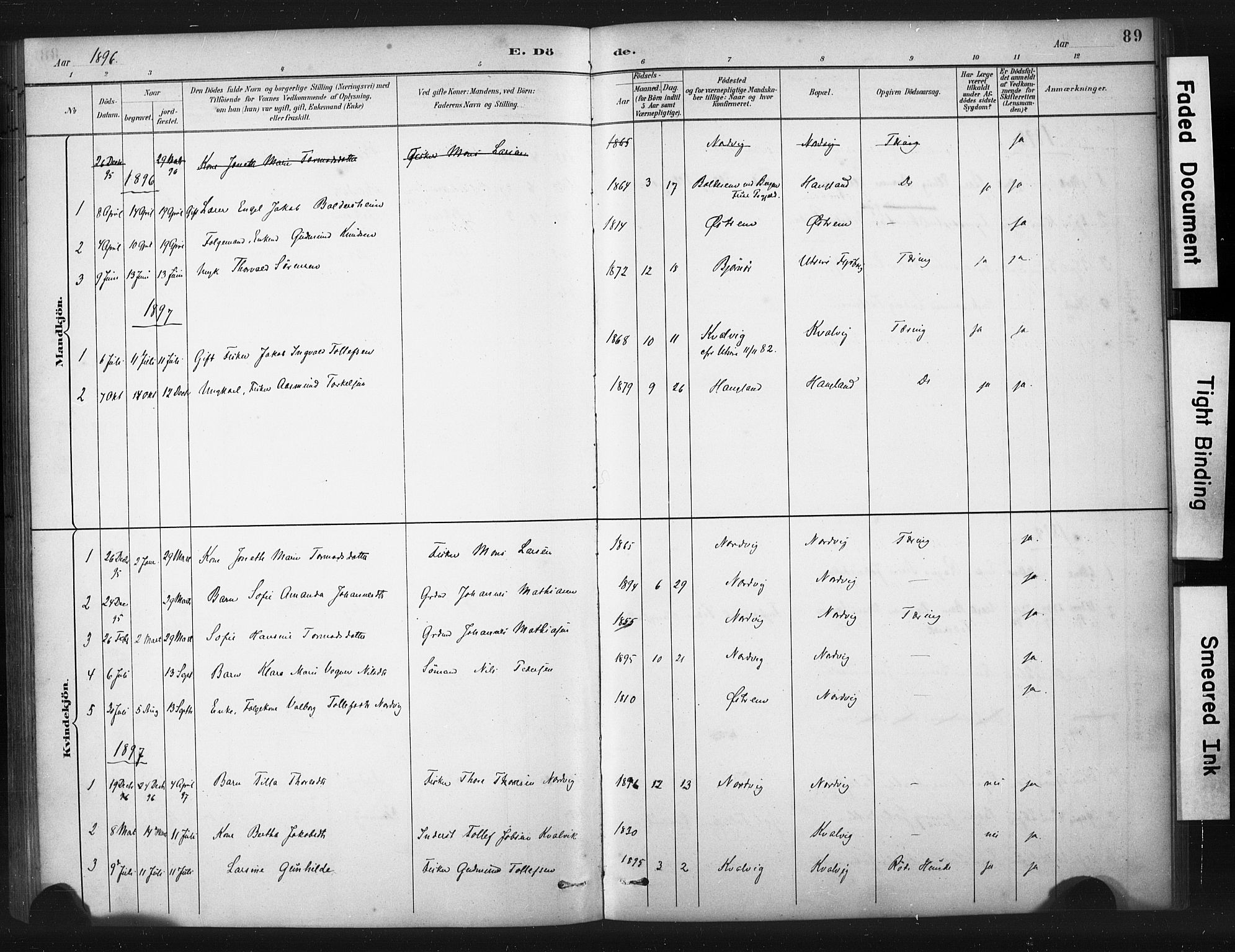 Torvastad sokneprestkontor, AV/SAST-A -101857/H/Ha/Haa/L0016: Parish register (official) no. A 15, 1883-1903, p. 89