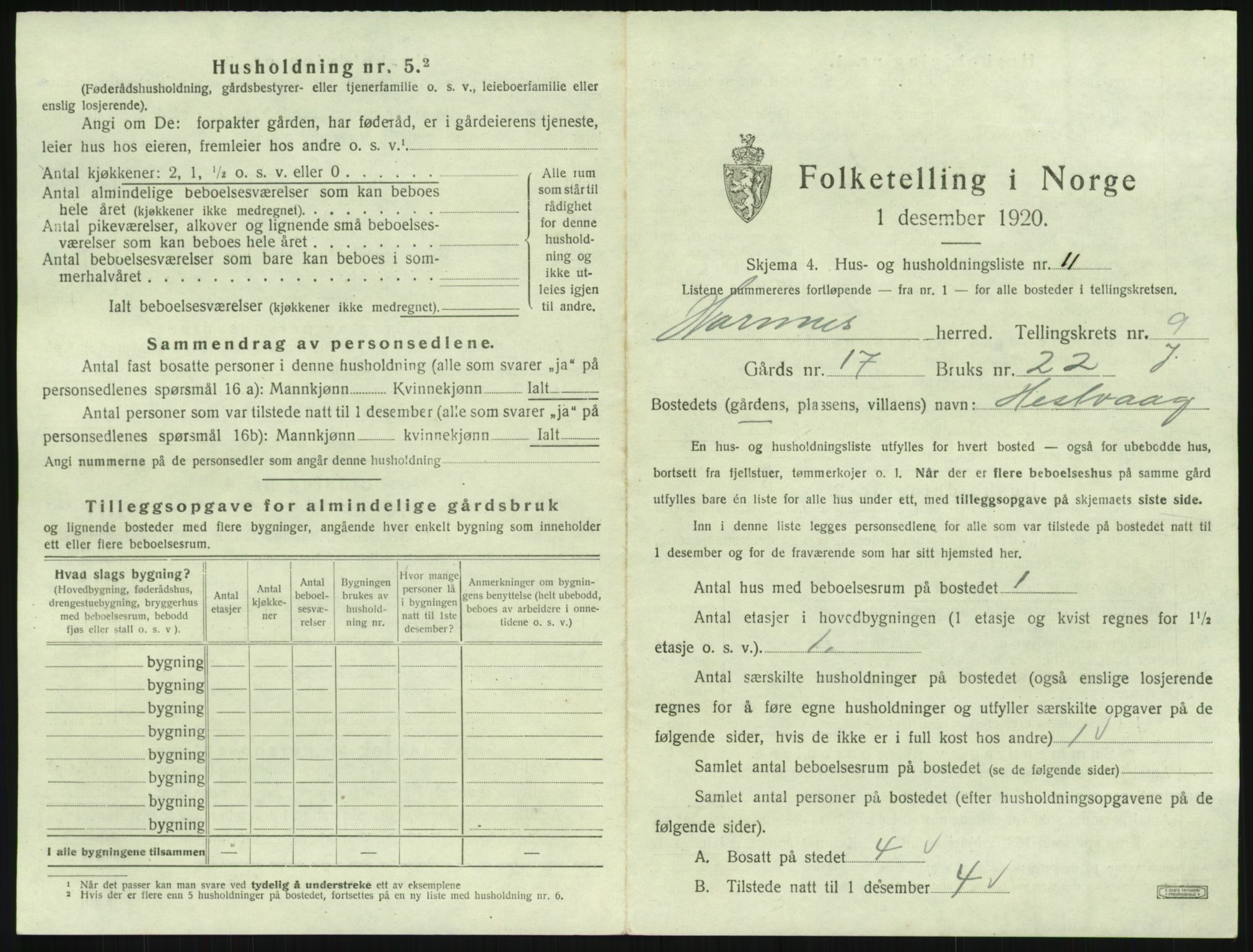 SAK, 1920 census for Hornnes, 1920, p. 371