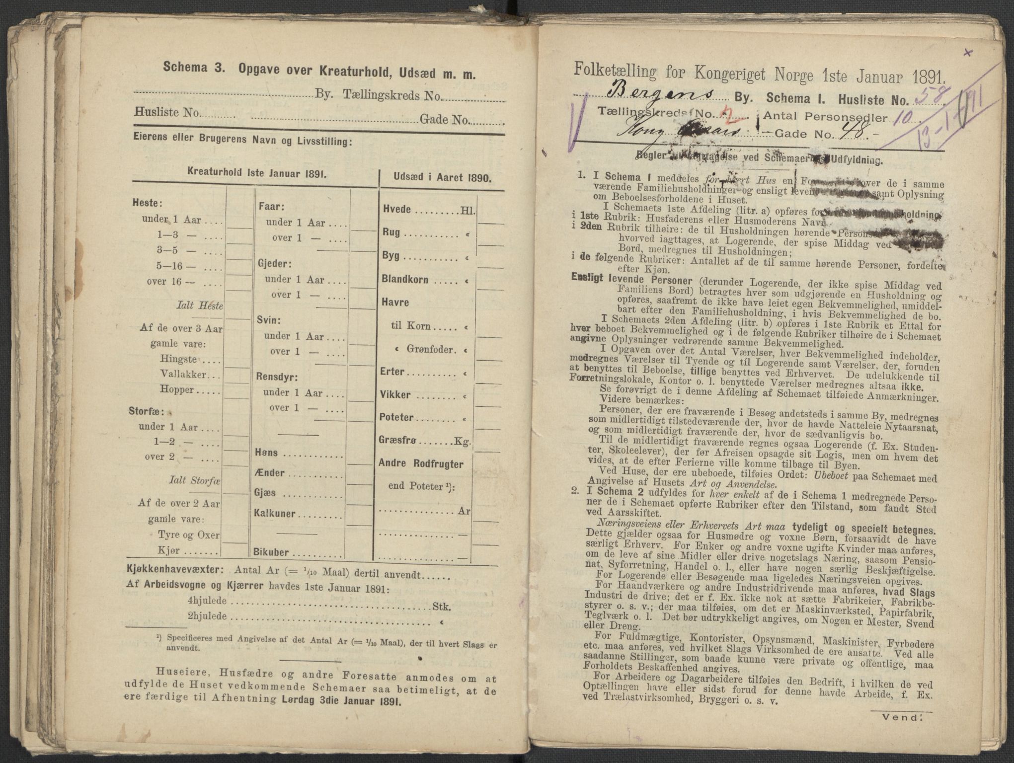 RA, 1891 Census for 1301 Bergen, 1891, p. 501