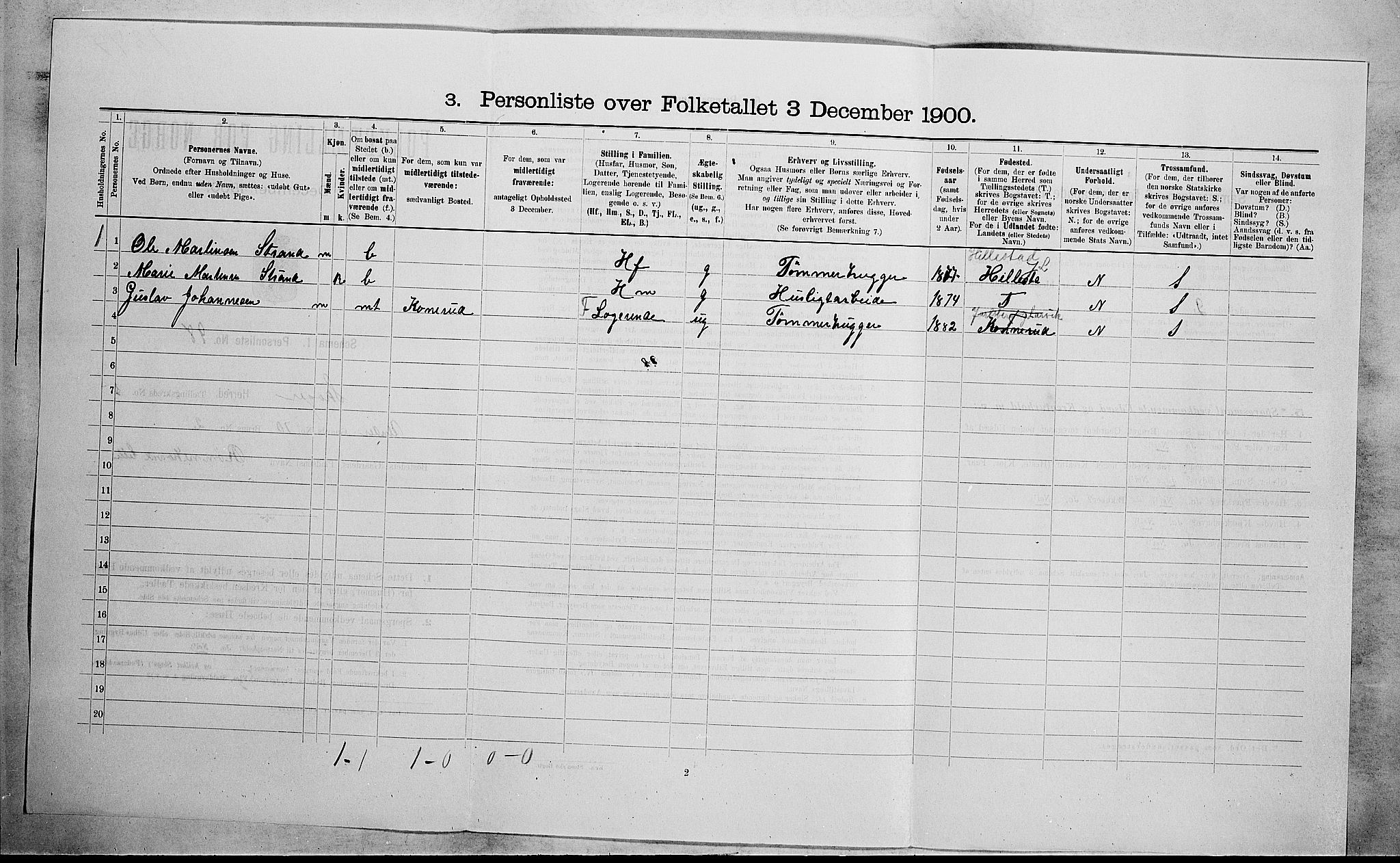 RA, 1900 census for Skoger, 1900, p. 989