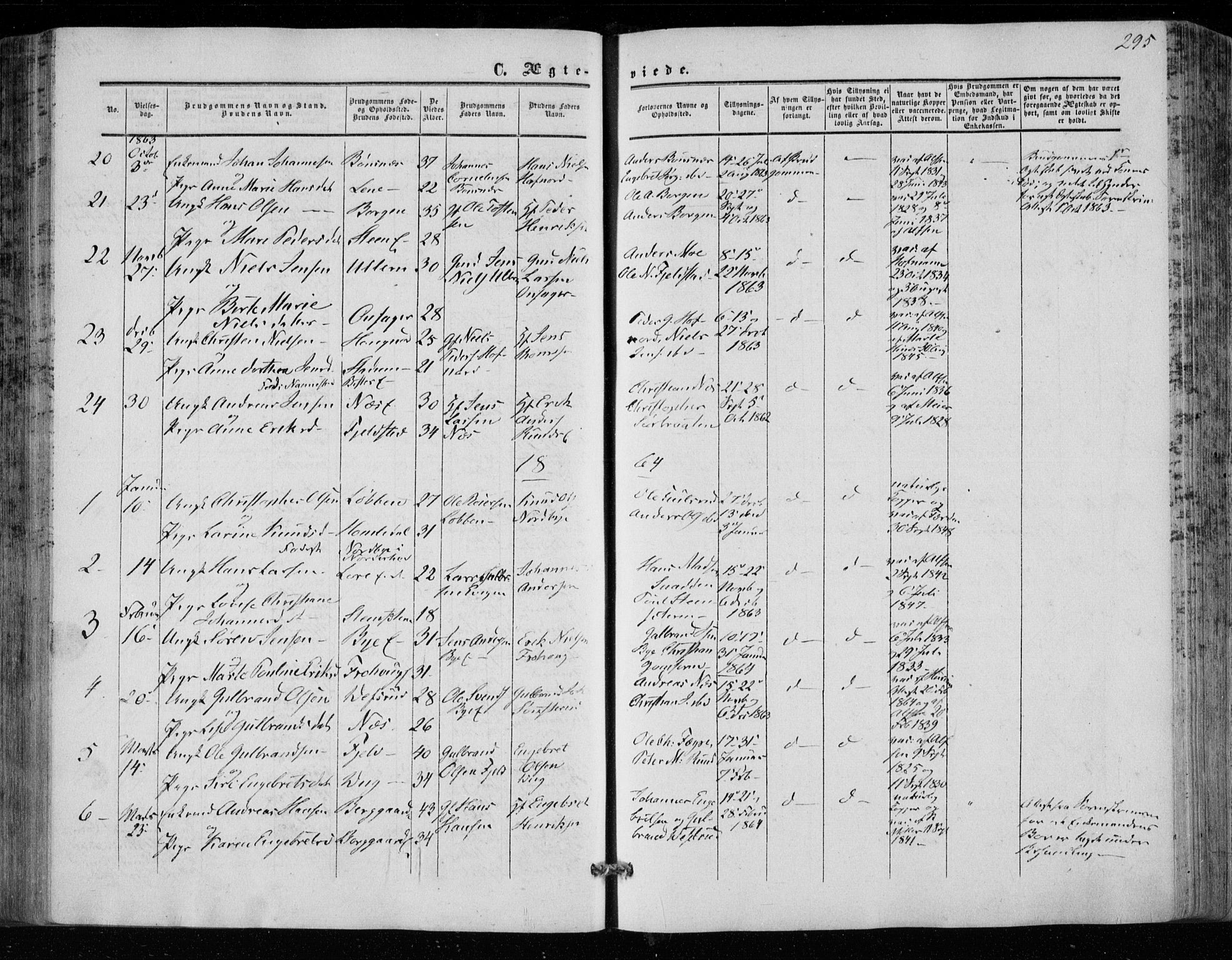 Hole kirkebøker, SAKO/A-228/F/Fa/L0006: Parish register (official) no. I 6, 1852-1872, p. 295