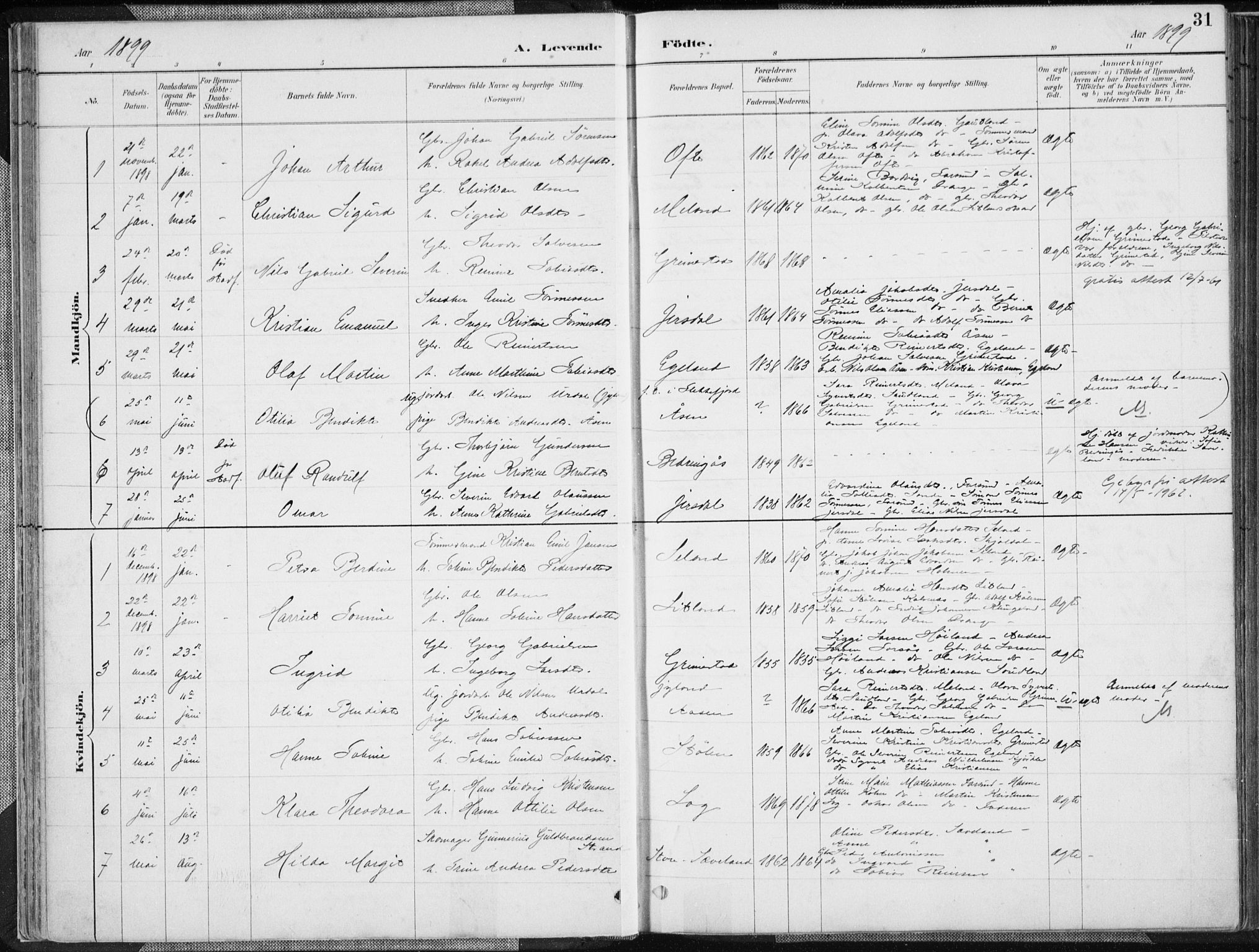 Herad sokneprestkontor, SAK/1111-0018/F/Fa/Faa/L0006: Parish register (official) no. A 6, 1887-1907, p. 31